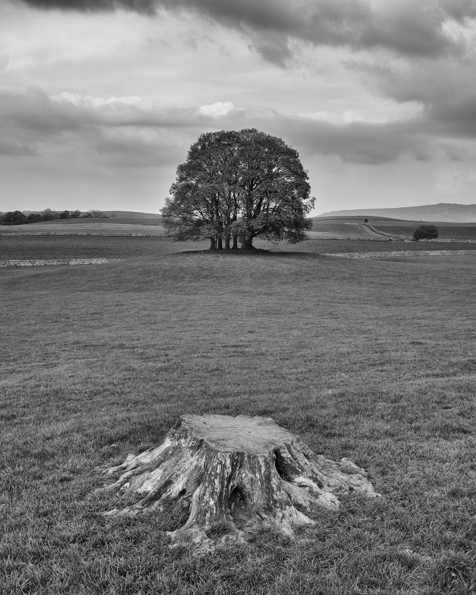 Airton Clump