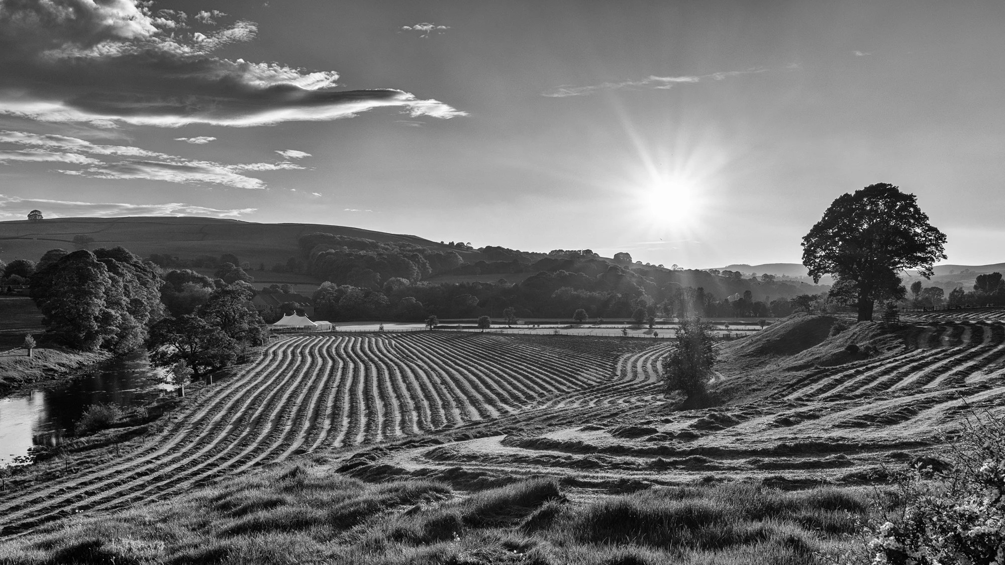 Summer Evening - Wharfdale