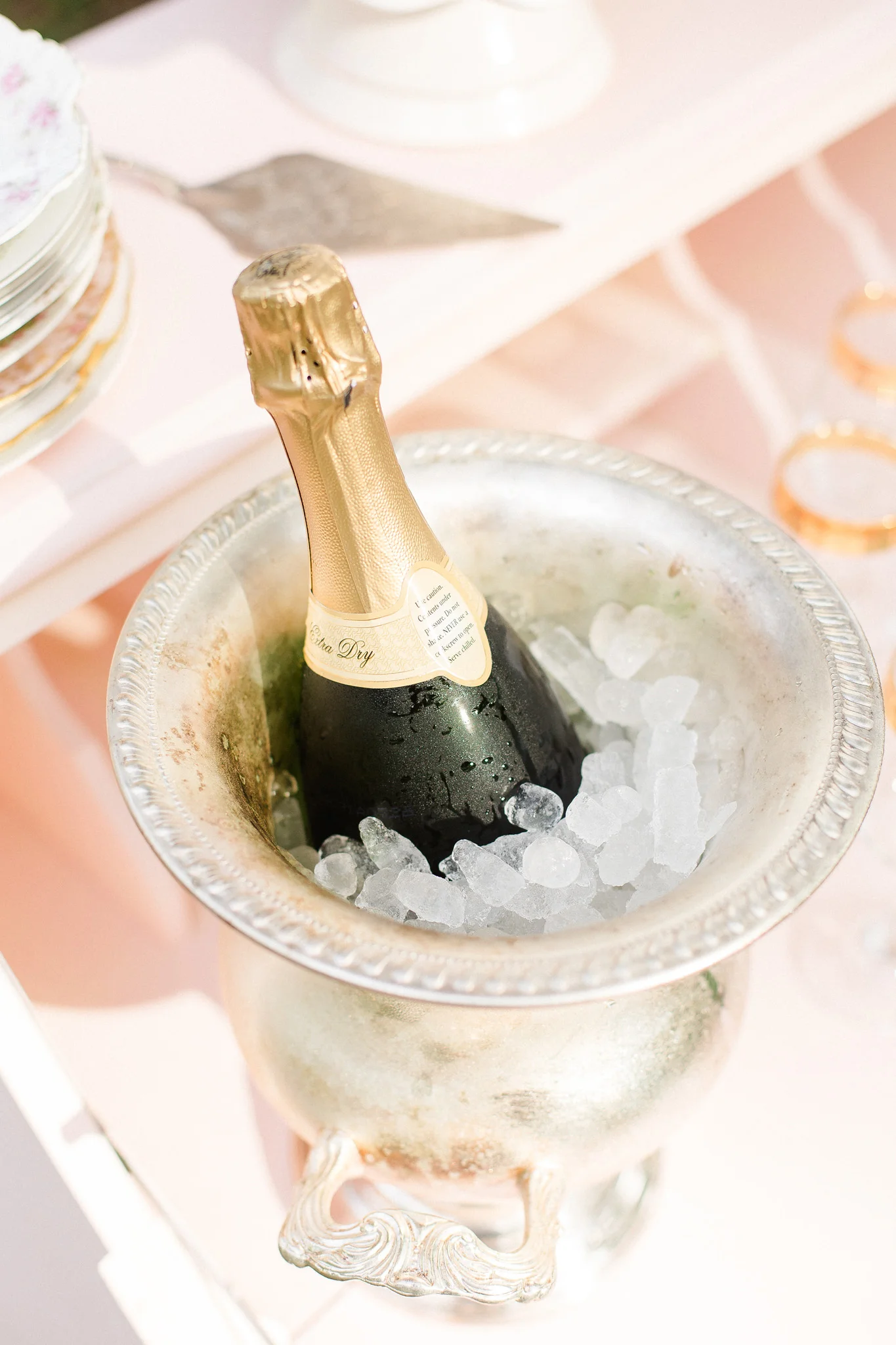 Photos by Ailyn La Torre Photography
