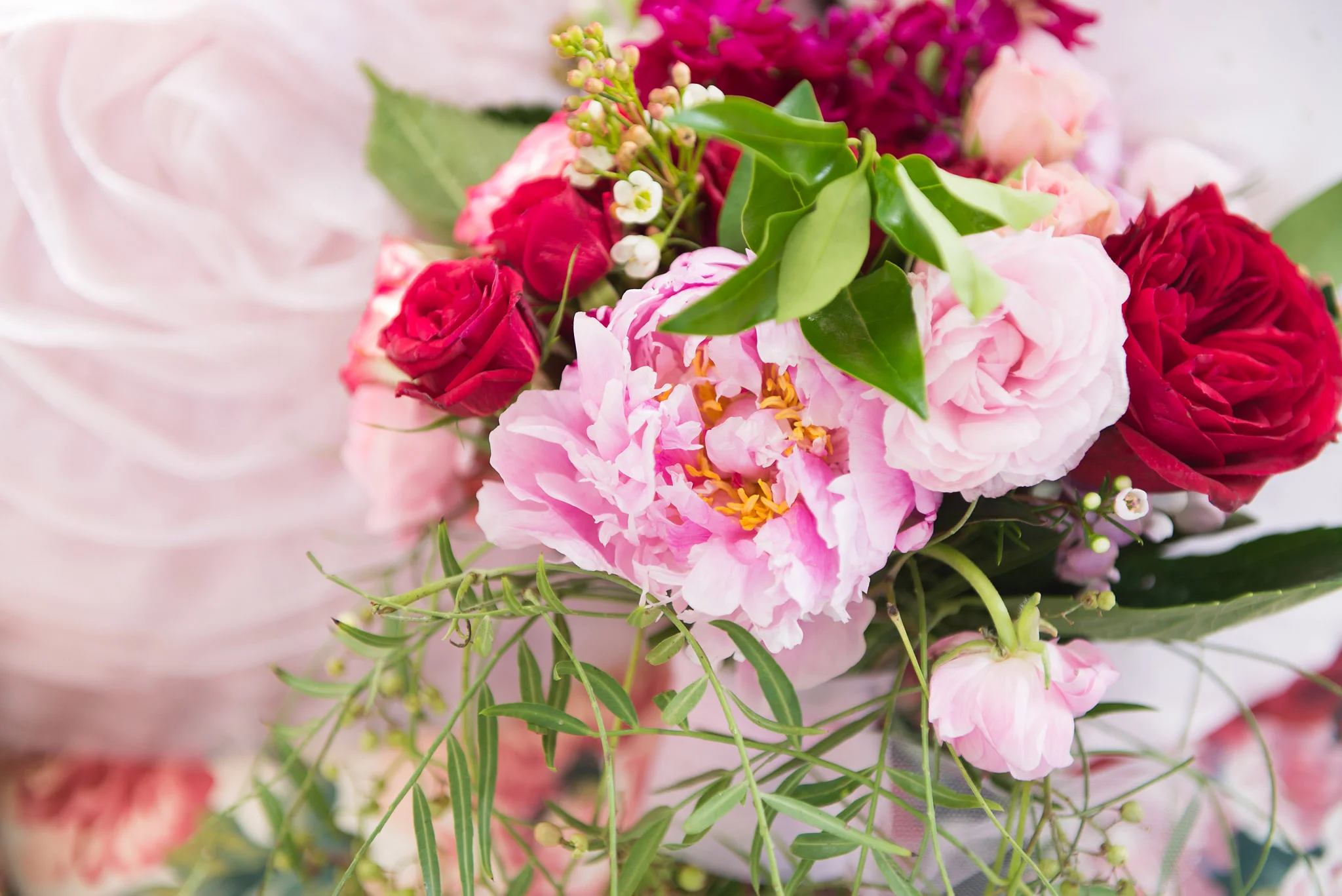 carrollwood florist