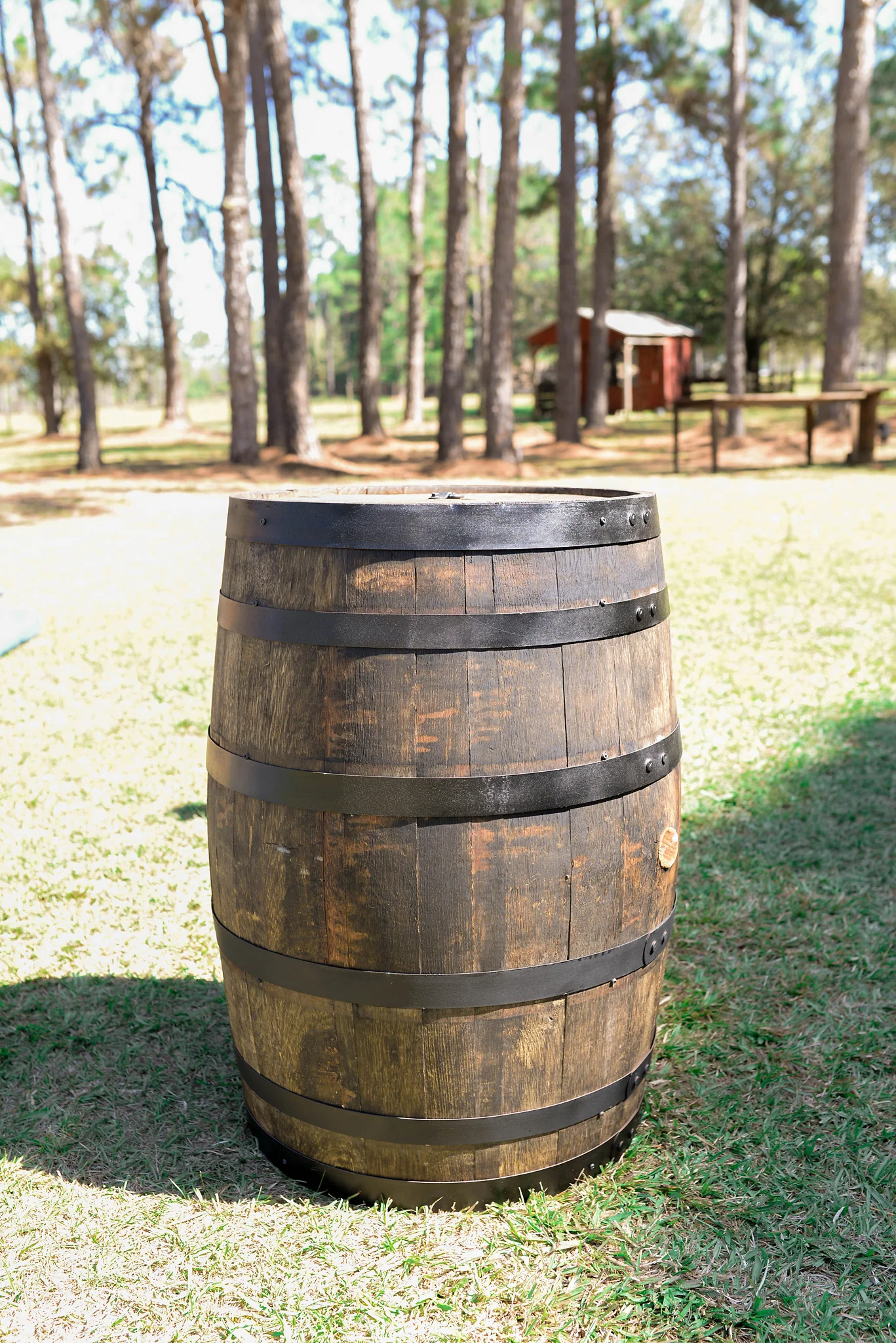DSC_0054sm.jpg