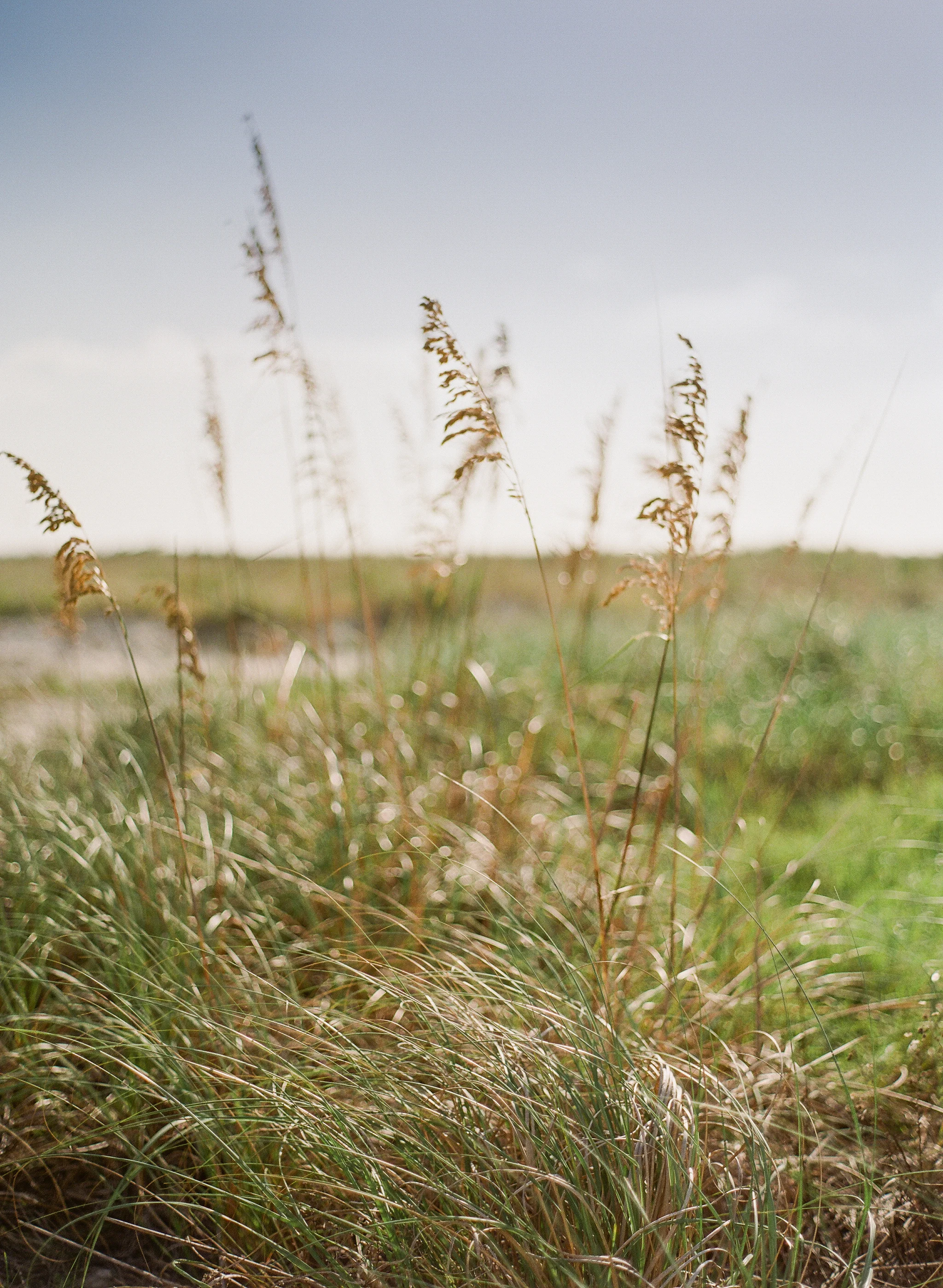 SandKeyParkBeachElopementInspiration-88.jpg