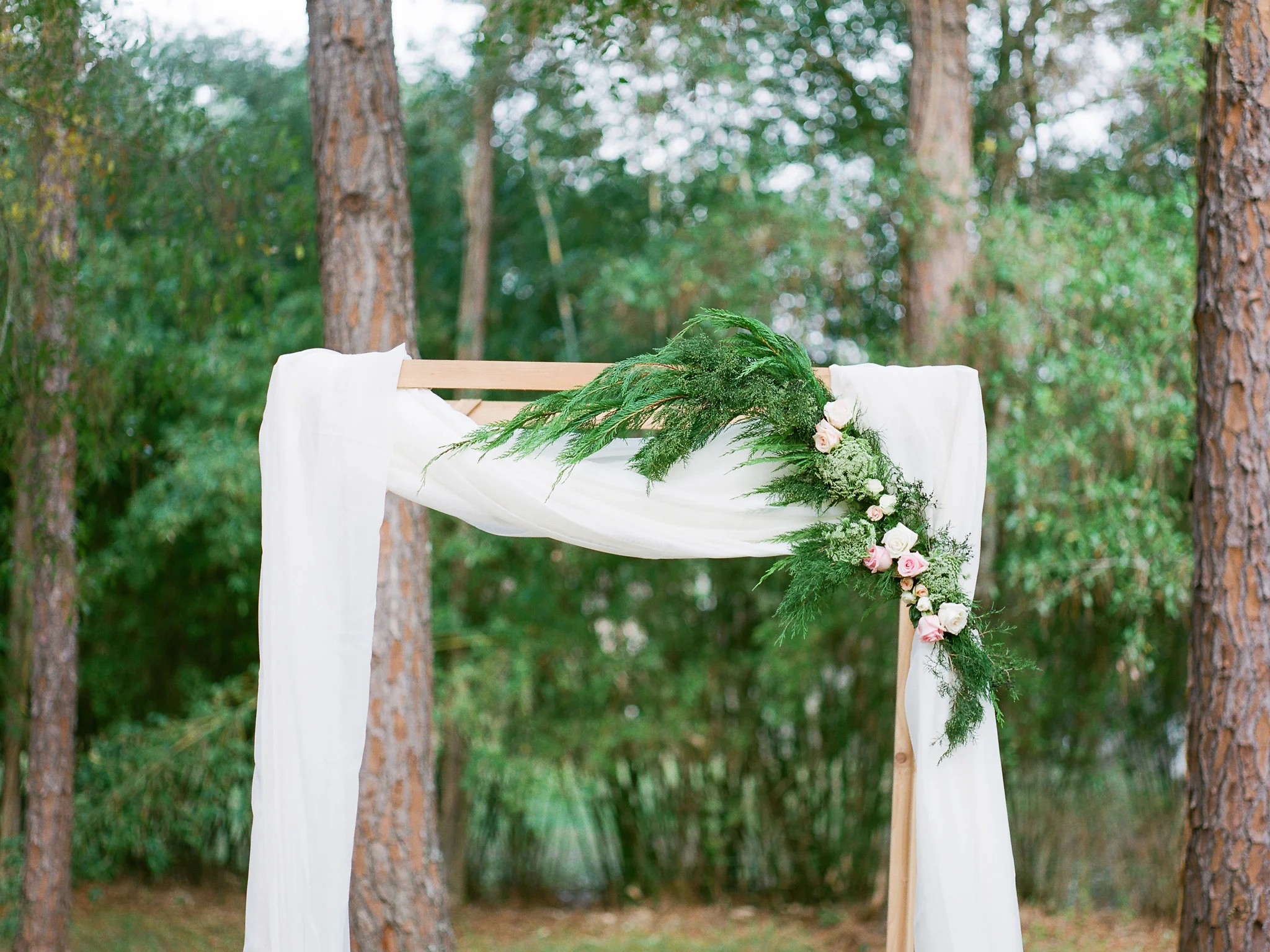 Backyard Wedding Designer Tampa Florida