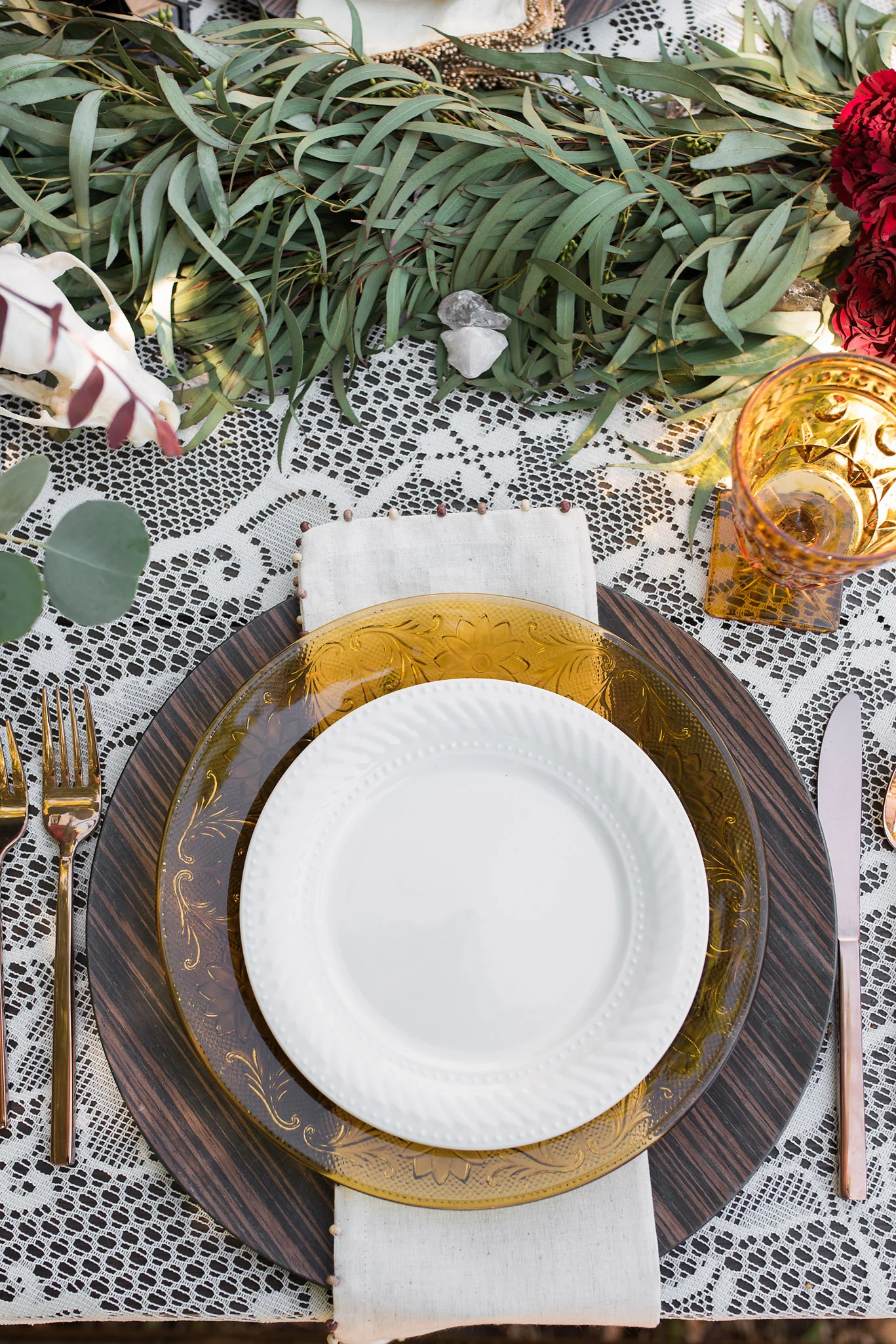 Dish Rentals Tampa Florida