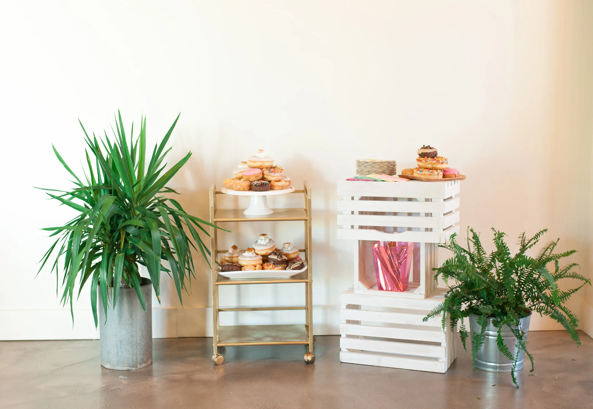 Tropical Event Rentals