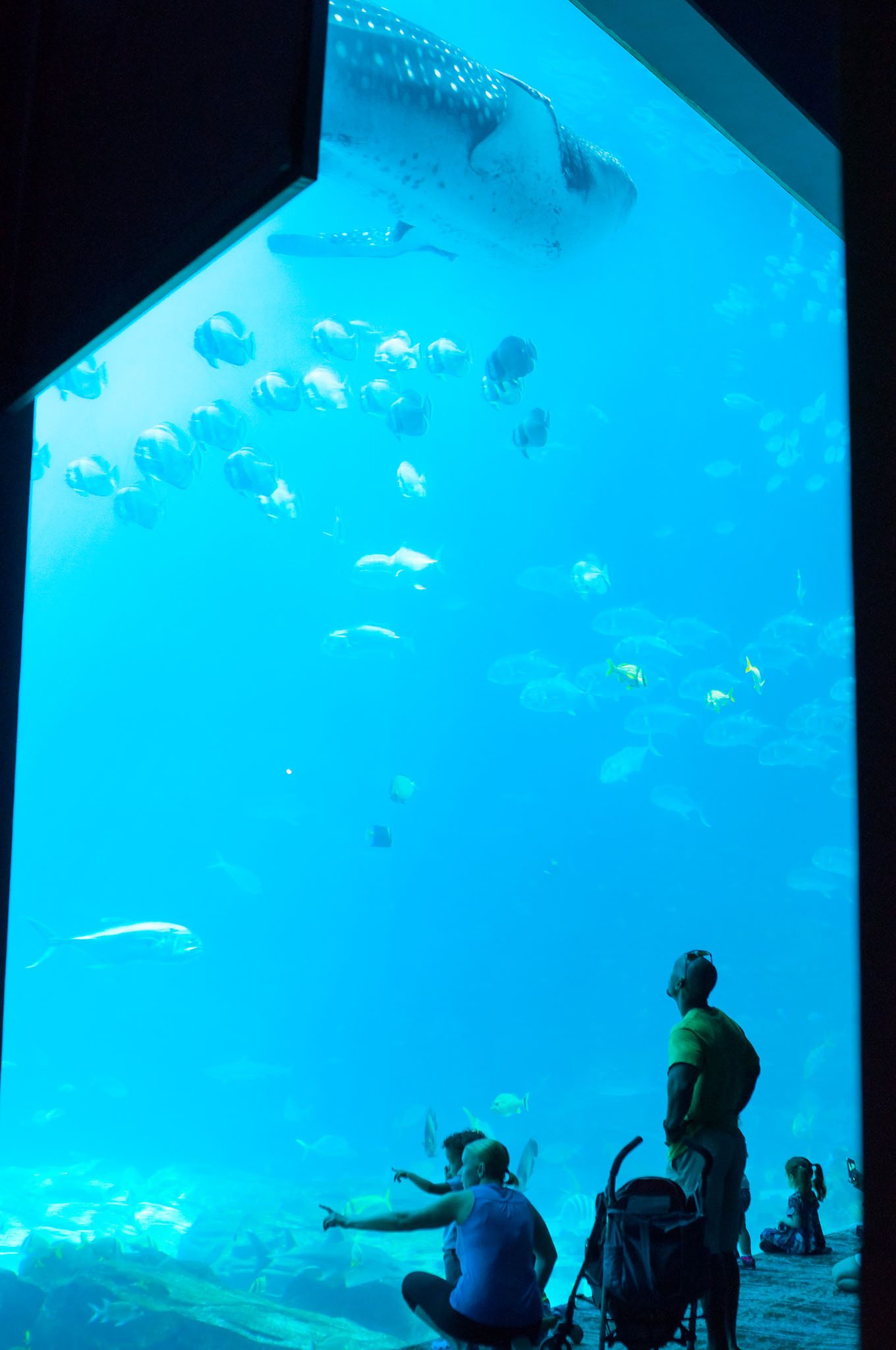 DSC_0010.jpg