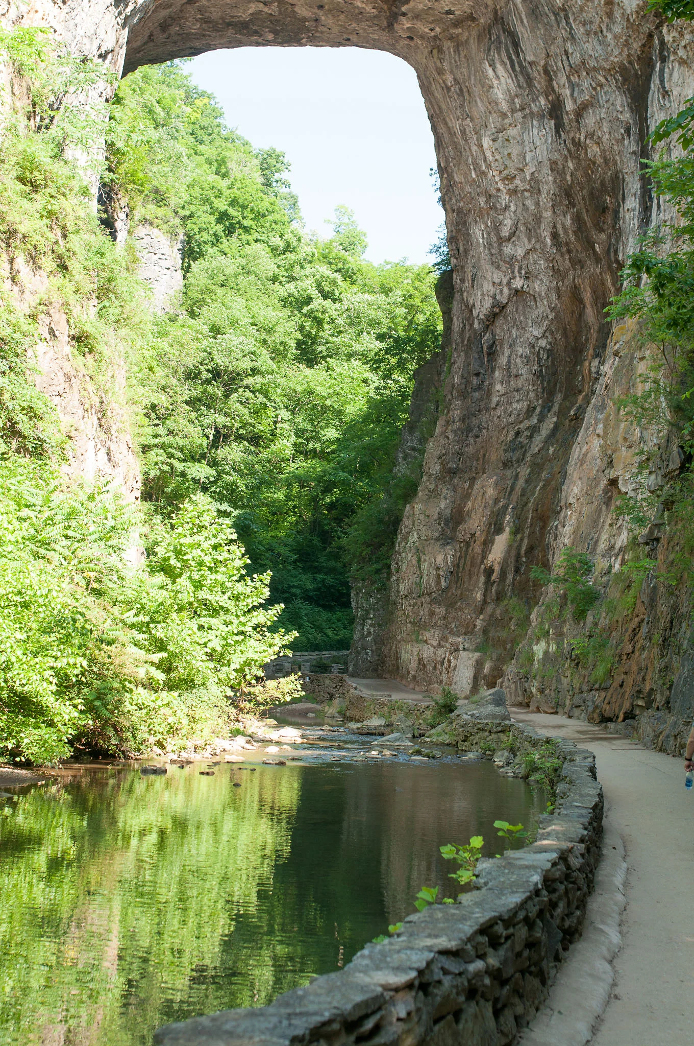DSC_0080.jpg