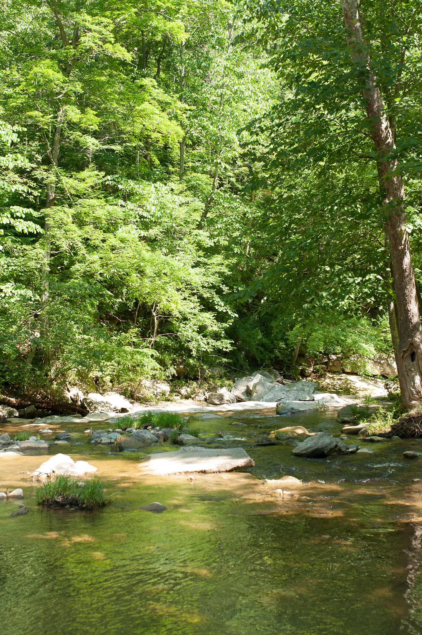 DSC_0107.jpg