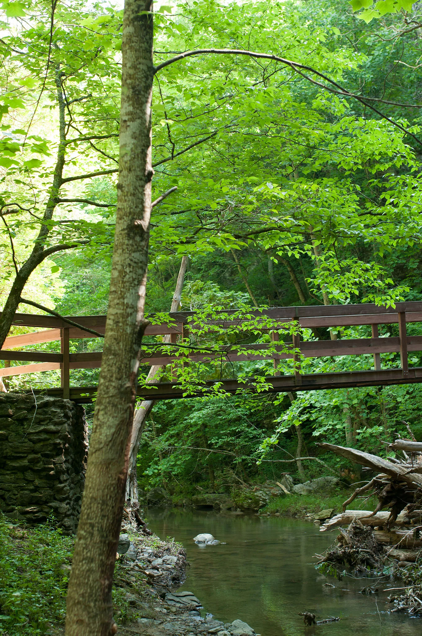 DSC_0117.jpg