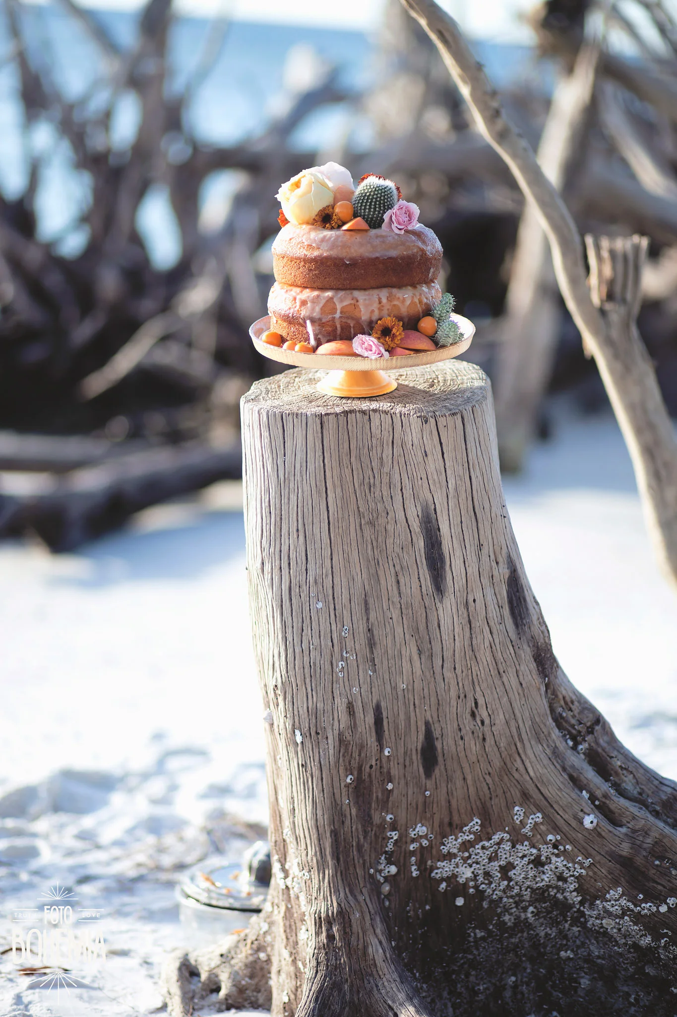 longboat-key-wedding-foto-bohemia_0072.jpg