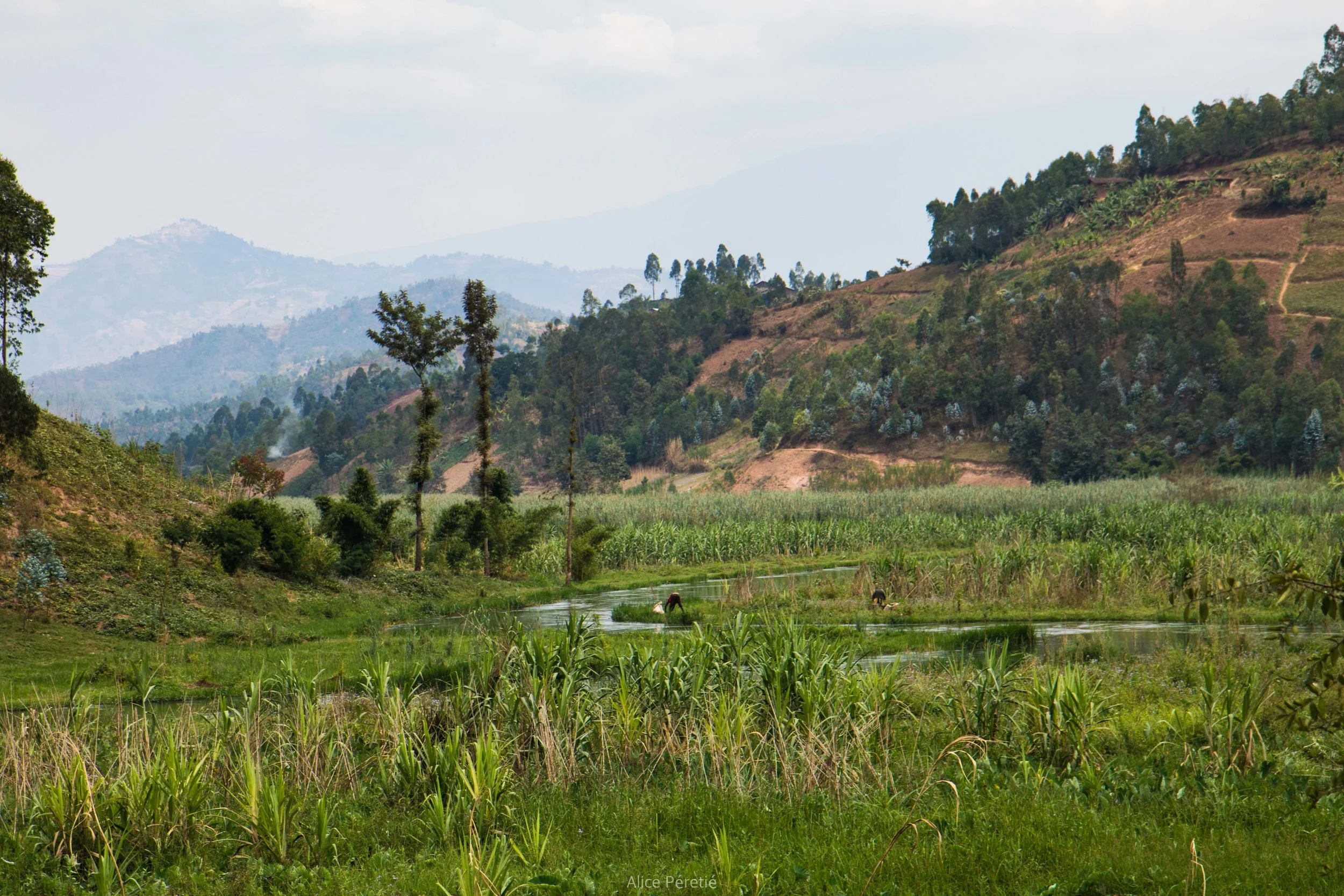 Lunch stop an hour from Gisenyi, in Rwanda (taken with my Canon)