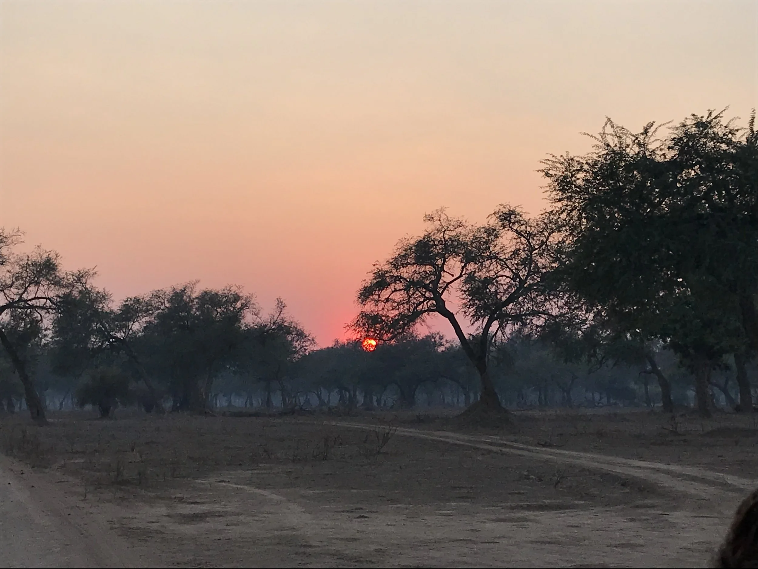 gorgeous sunrise