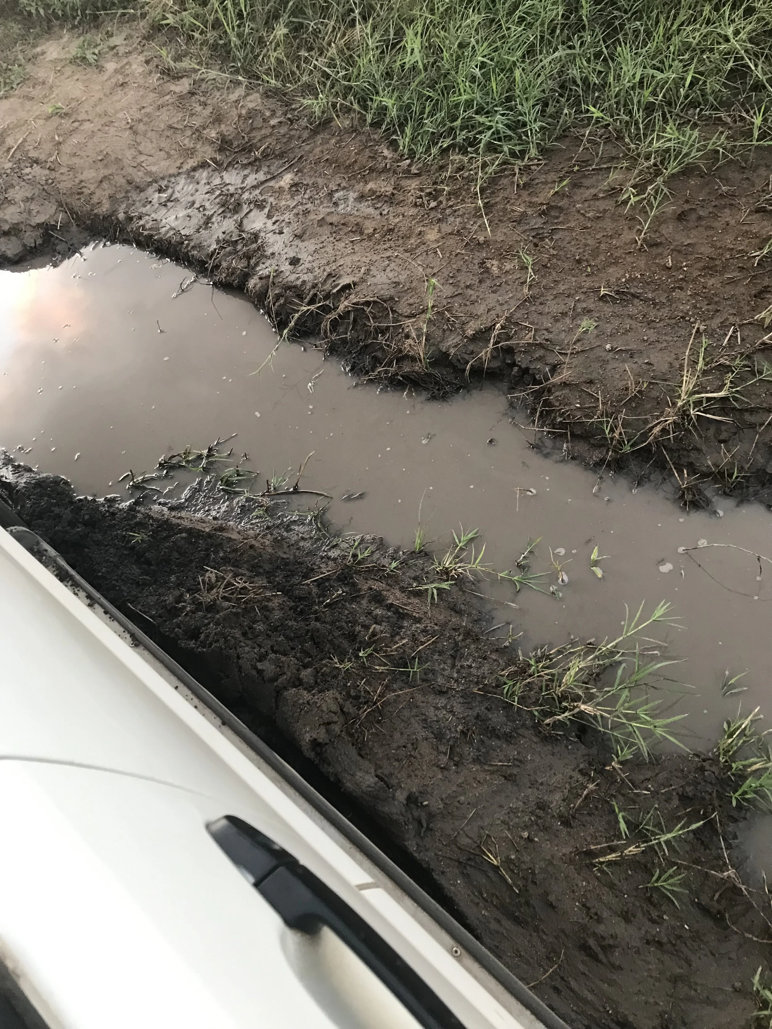 5pm: Getting stuck in the mud. Need to pee.