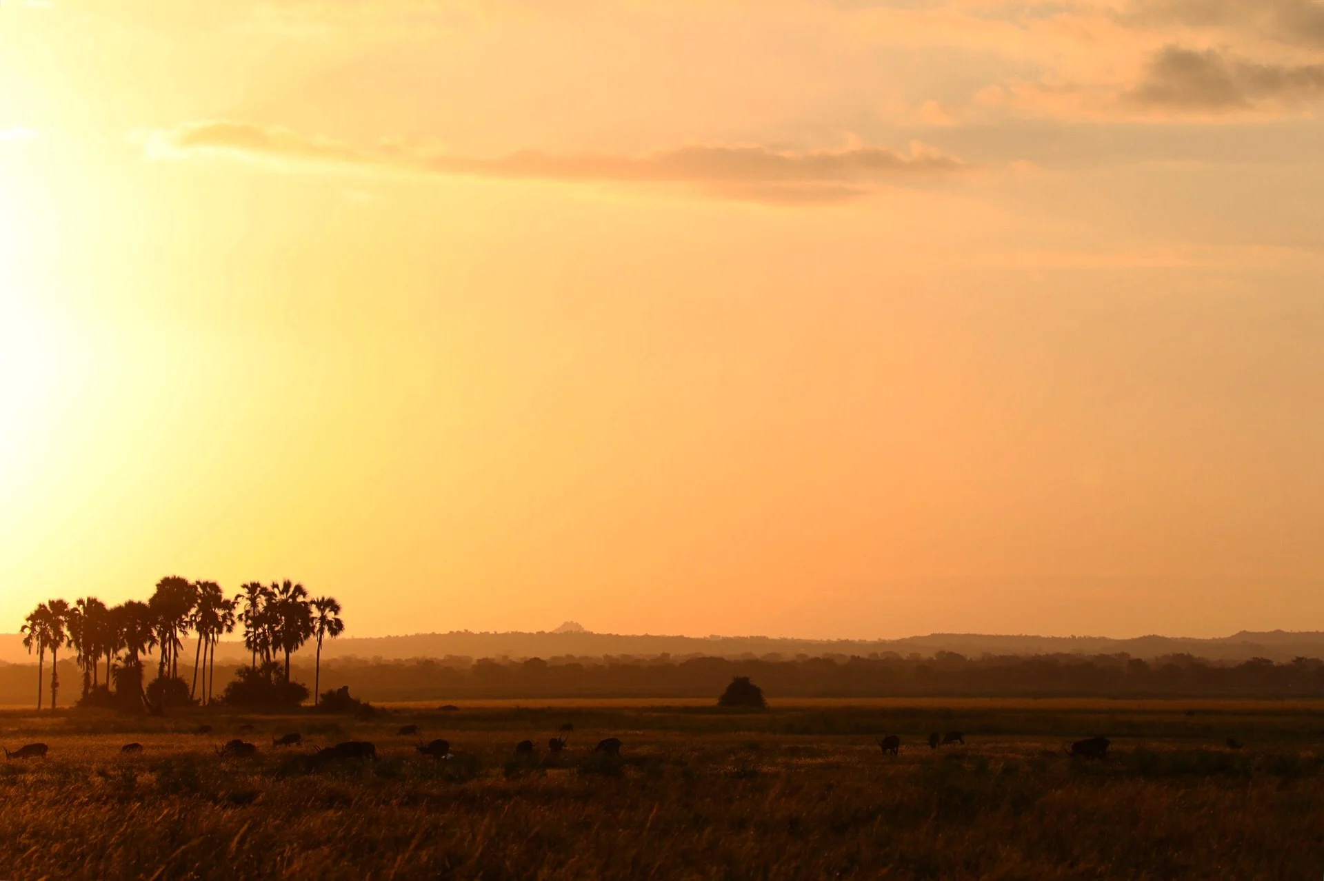 Malawi: Driving across the Warm Heart of Africa - Part 3