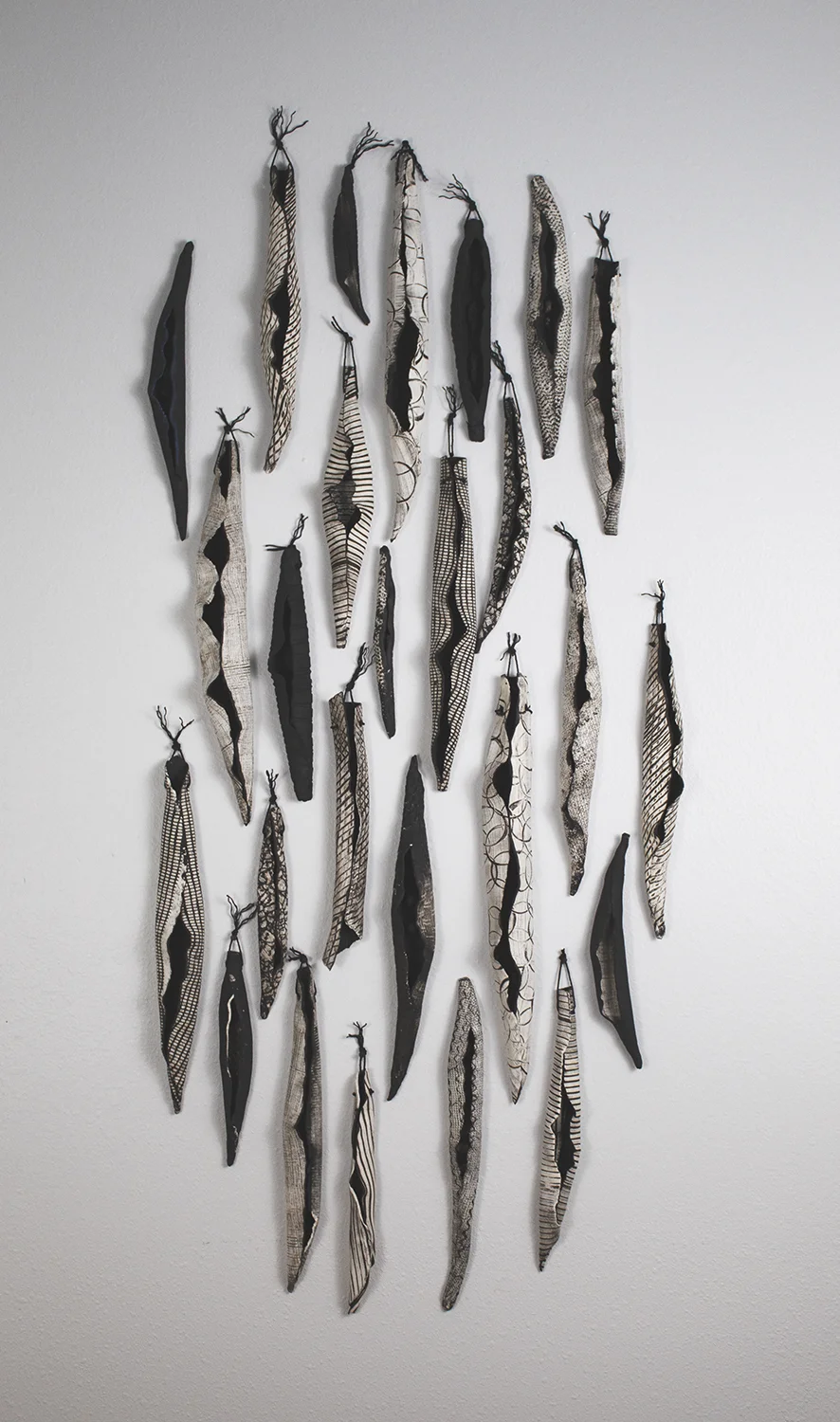 Seed Pods