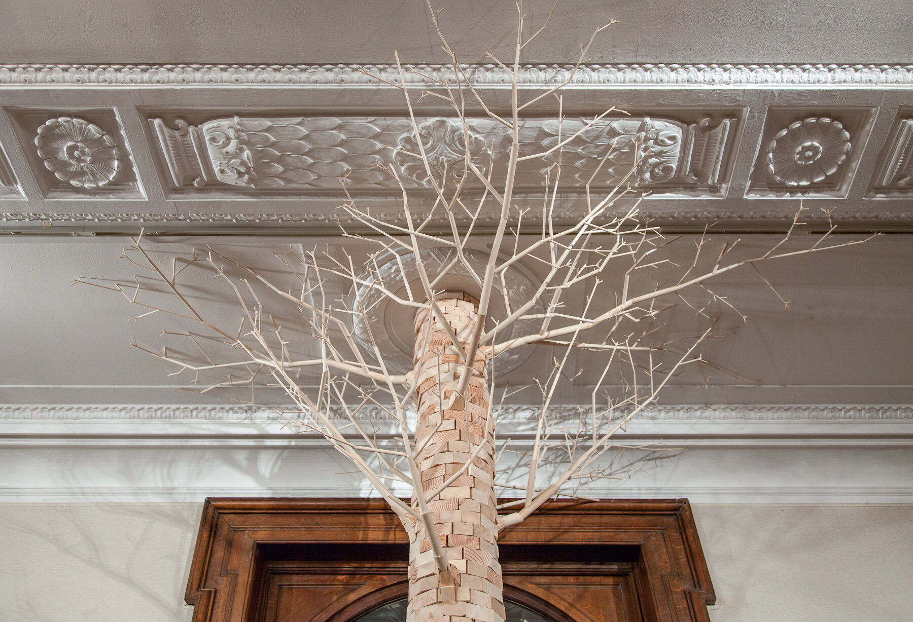 tree branches detail.jpg