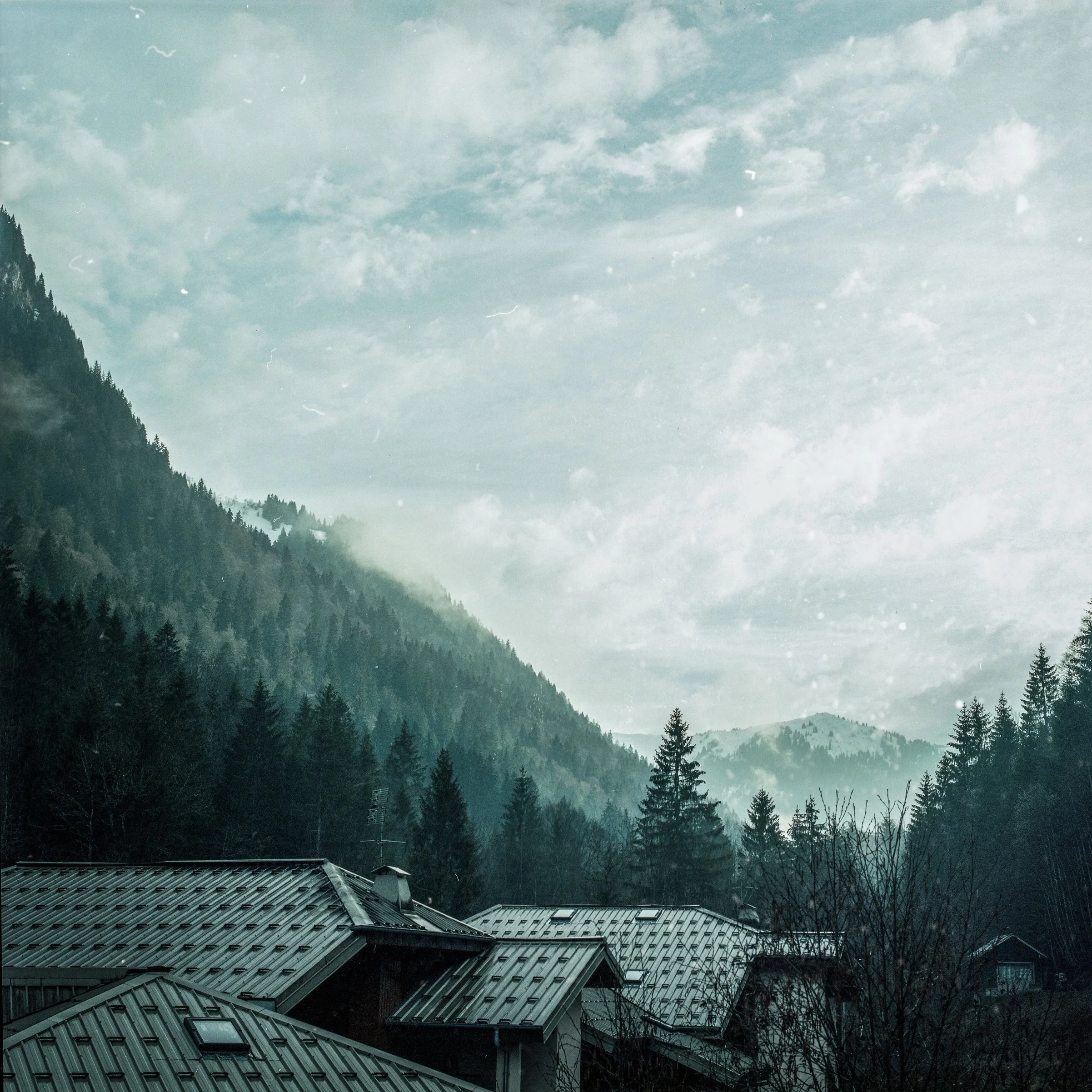 Lowres9.jpg