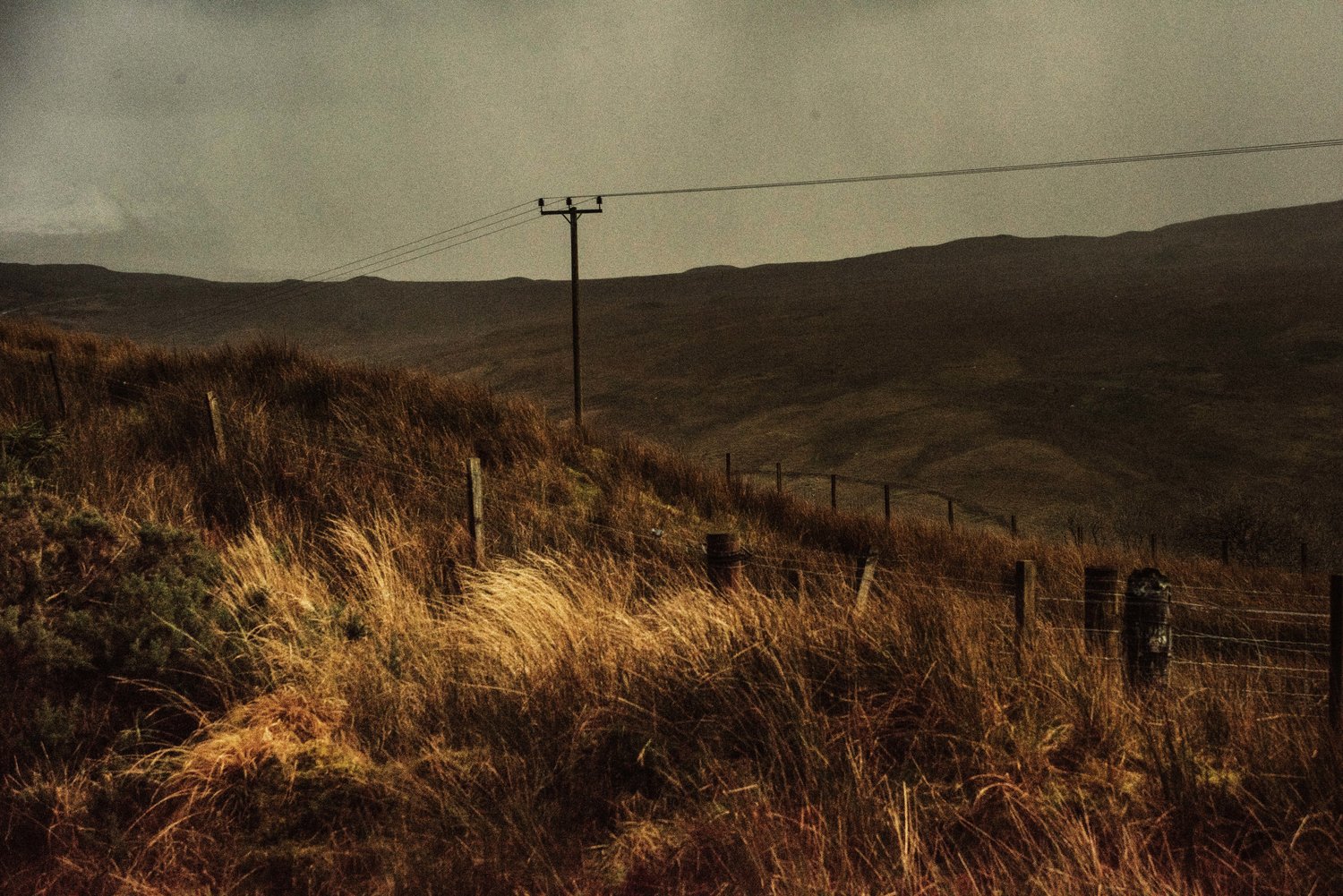 Skye+Day++-5718+copy (1).jpg