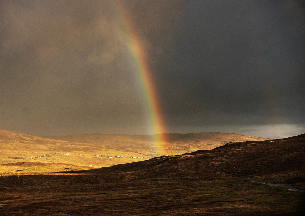 Skye+Day++-5934+copy (1).jpg