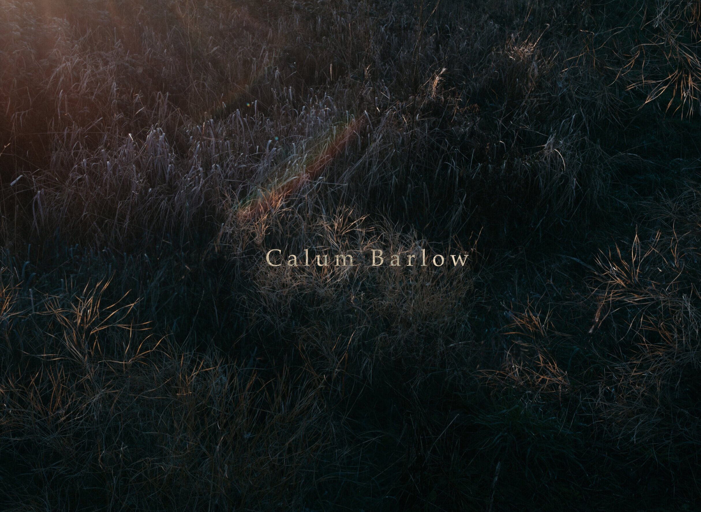 Calum+Barlow.jpg
