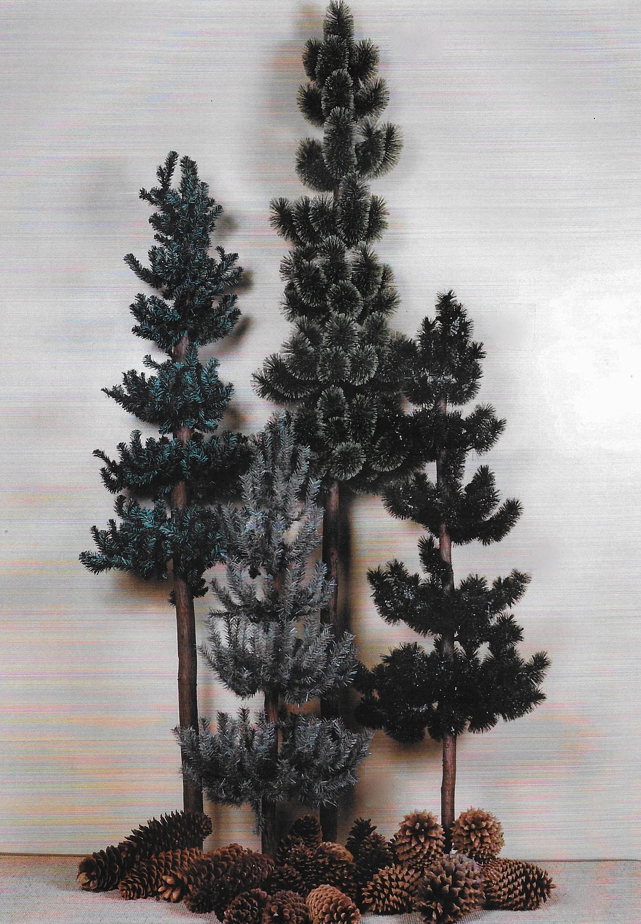 SCAN0039.JPG