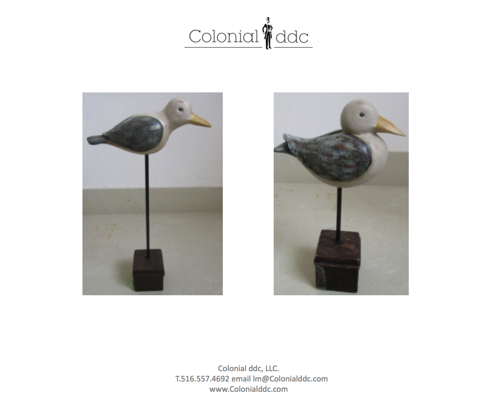 Sea Birds with Base