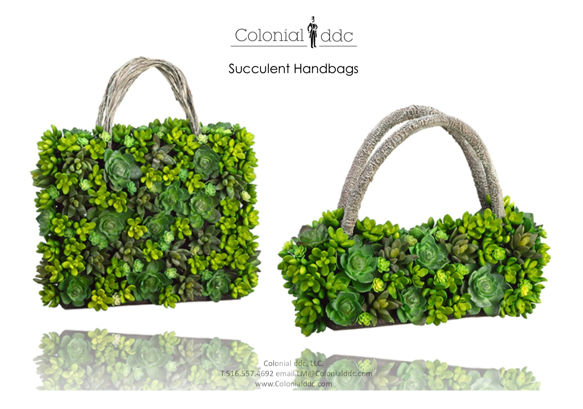 Succulents_5.png