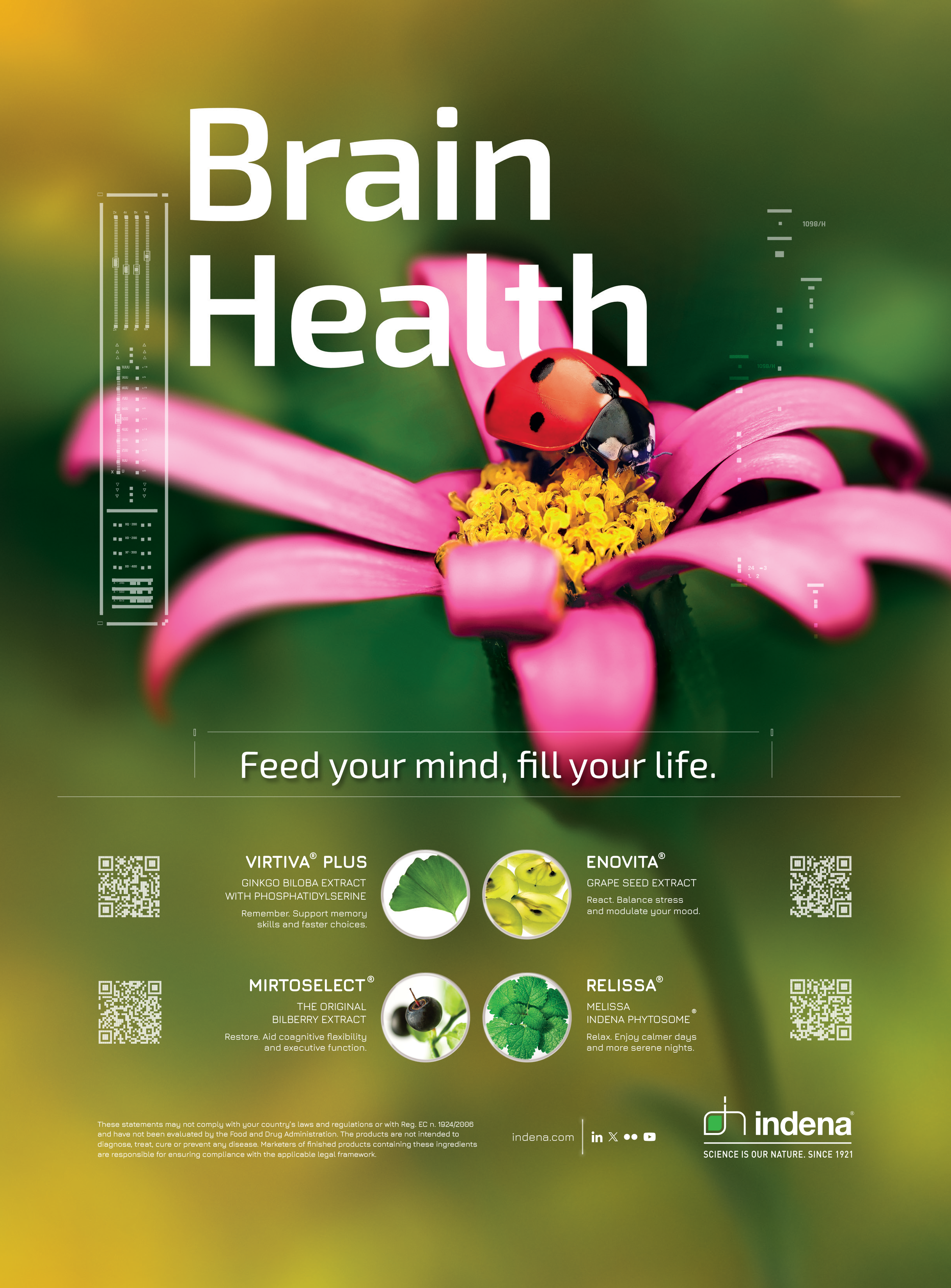 BRAIN HEALTH-7125x10 USA-X4.png