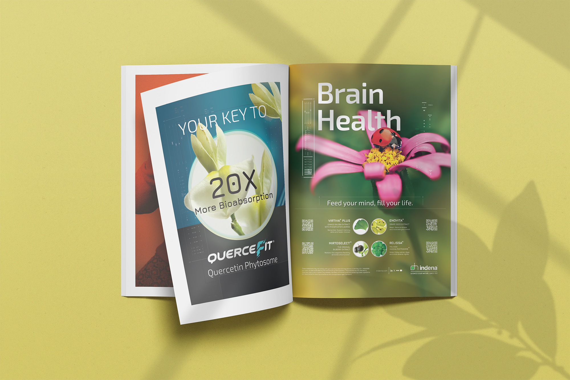 A4 MAGAZINE BROCHURE MOCKUP.png