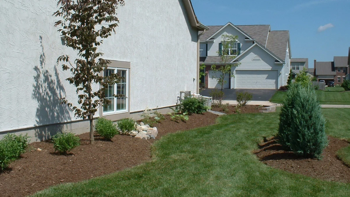 Buxton Side Yard Planting