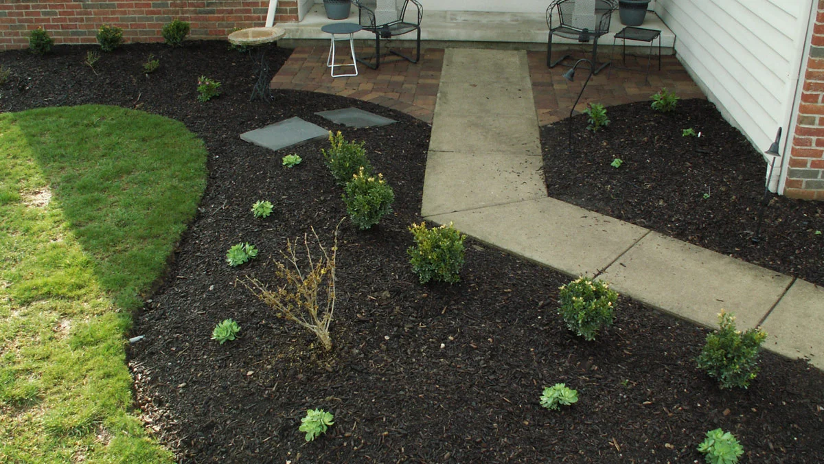 Hudak New Planting
