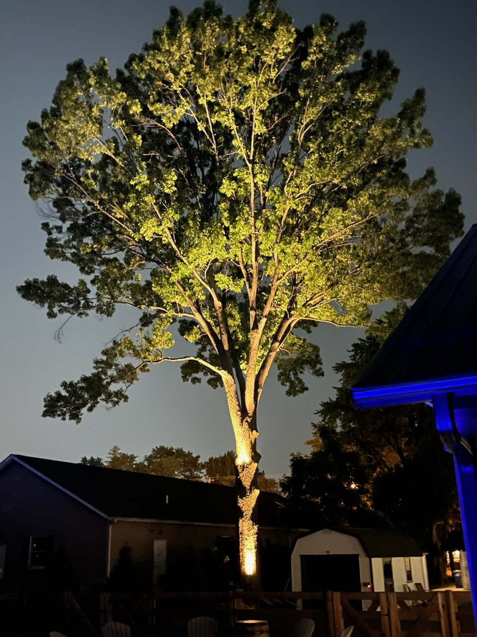 Forchione 120 Oak