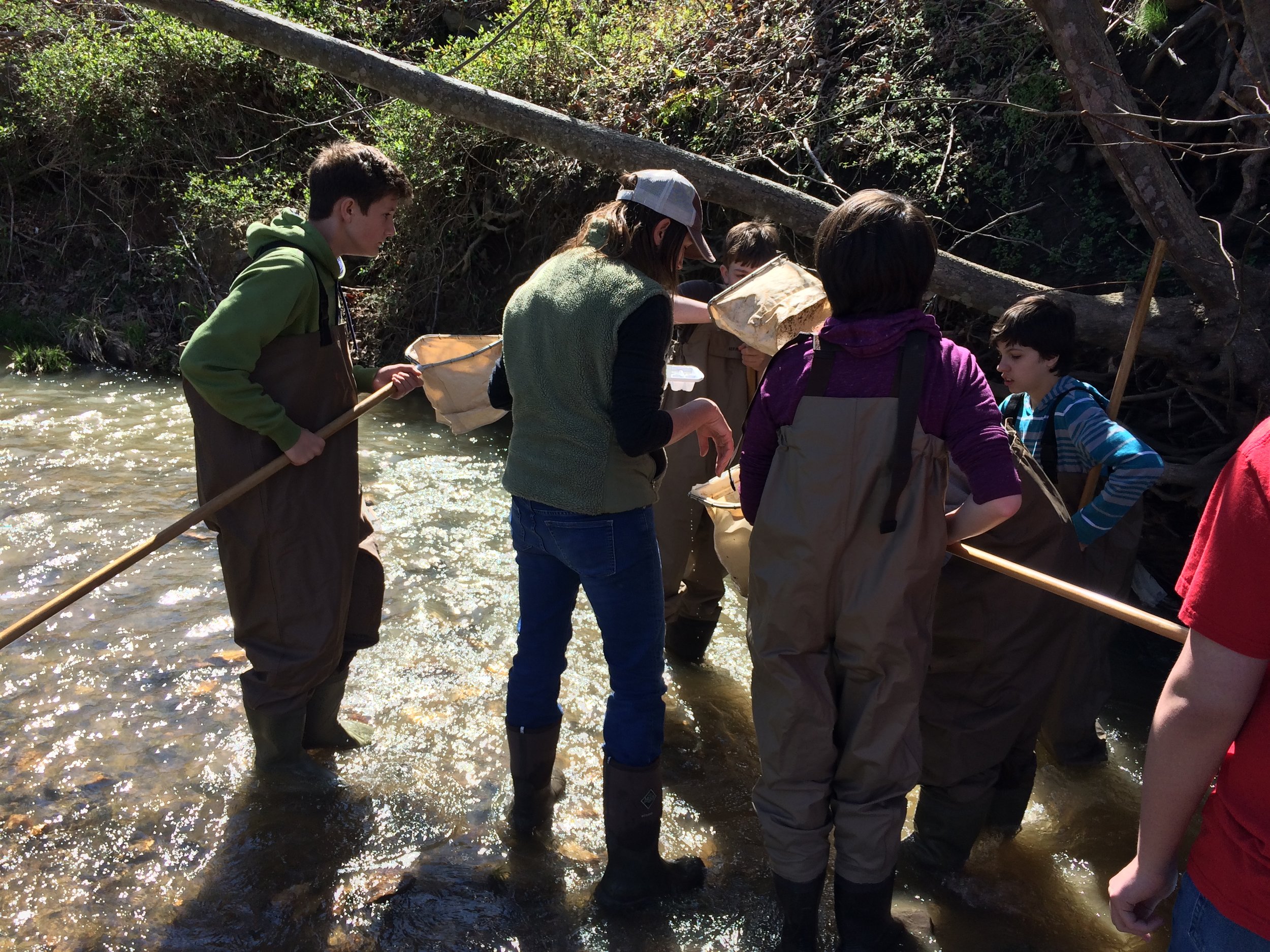Kids in the Creek, Madison Middle School, 2017