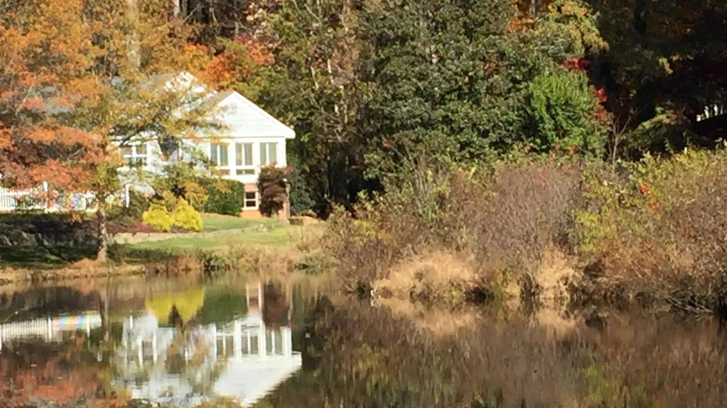 Picture of Lake and House Fernwood.JPG