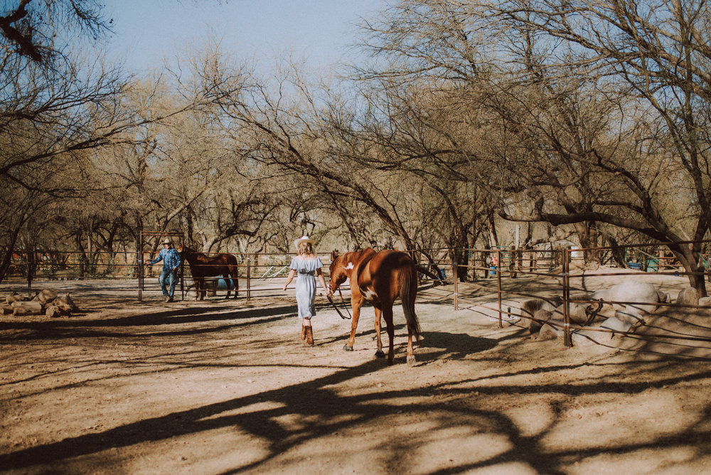 Tucson Lifestyle Photographer V Session-4174.jpg