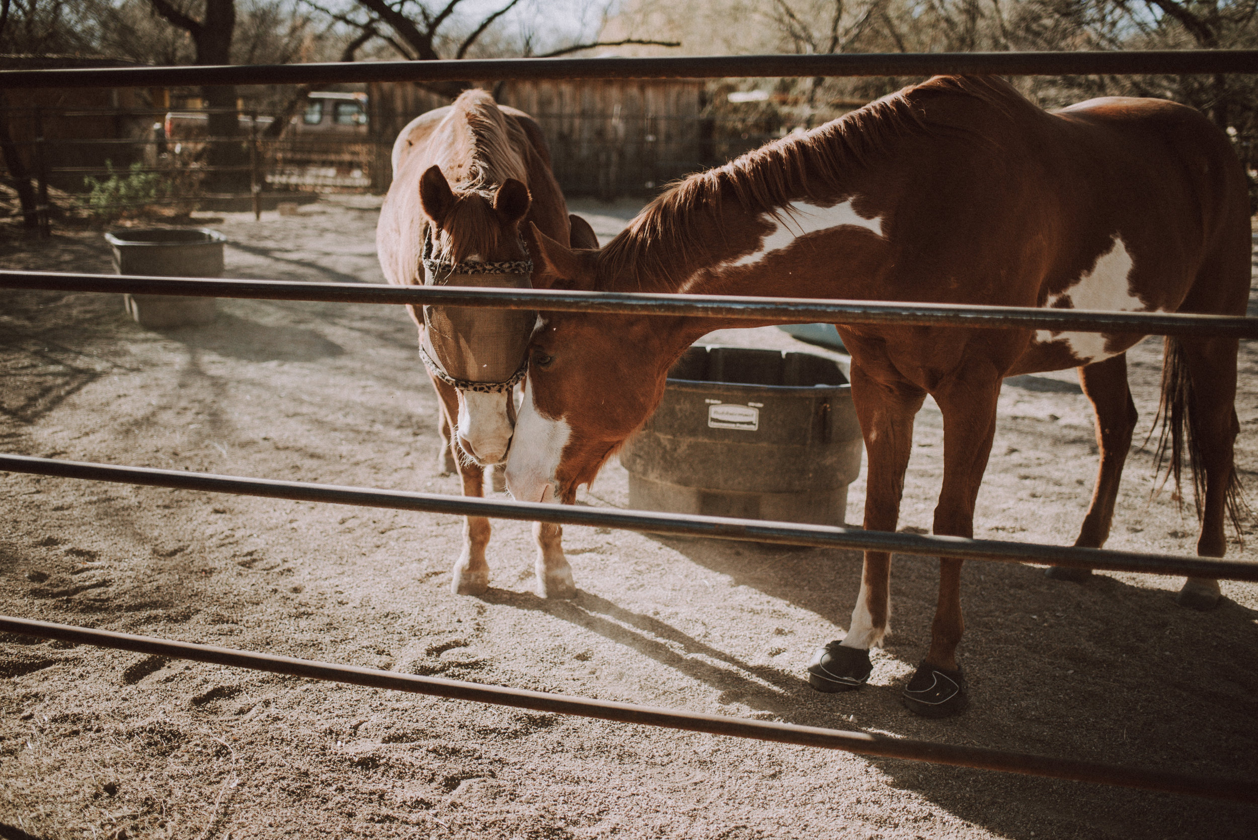 Tucson Lifestyle Photographer V Session-4393.jpg