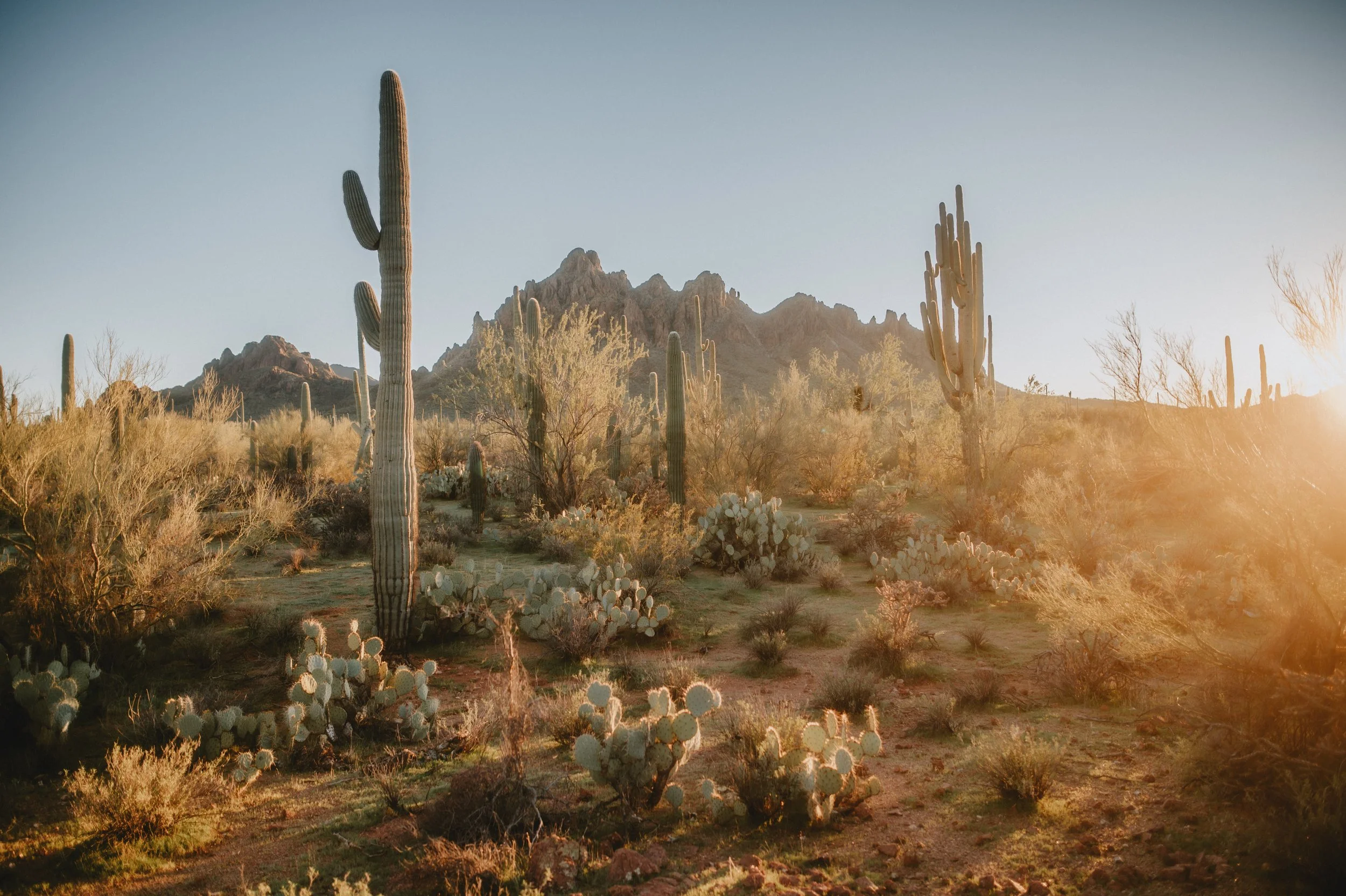 TucsonWeddingPhotographer-Jayme&Tony-236.jpg