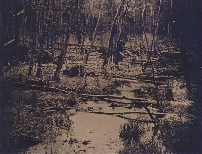 “Wetlands 2 revisited” tintype 12” x 15”