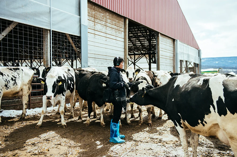 Alan Yu gathers tape on a farm. Photo by Dani Fresh.