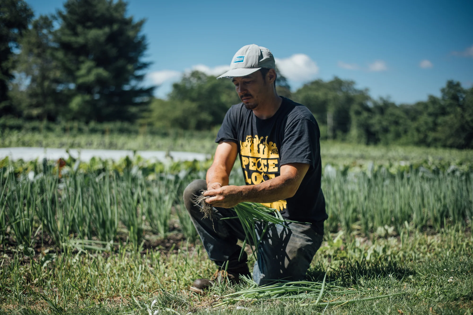 Kohei Ishihara is the owner of Movement Ground Farm. The seven-acre farm is located on the coast of Rhode Island. He wants to start a program on the farm where elder refugees can work alongside the next generation. Photo by Ash Ngu.