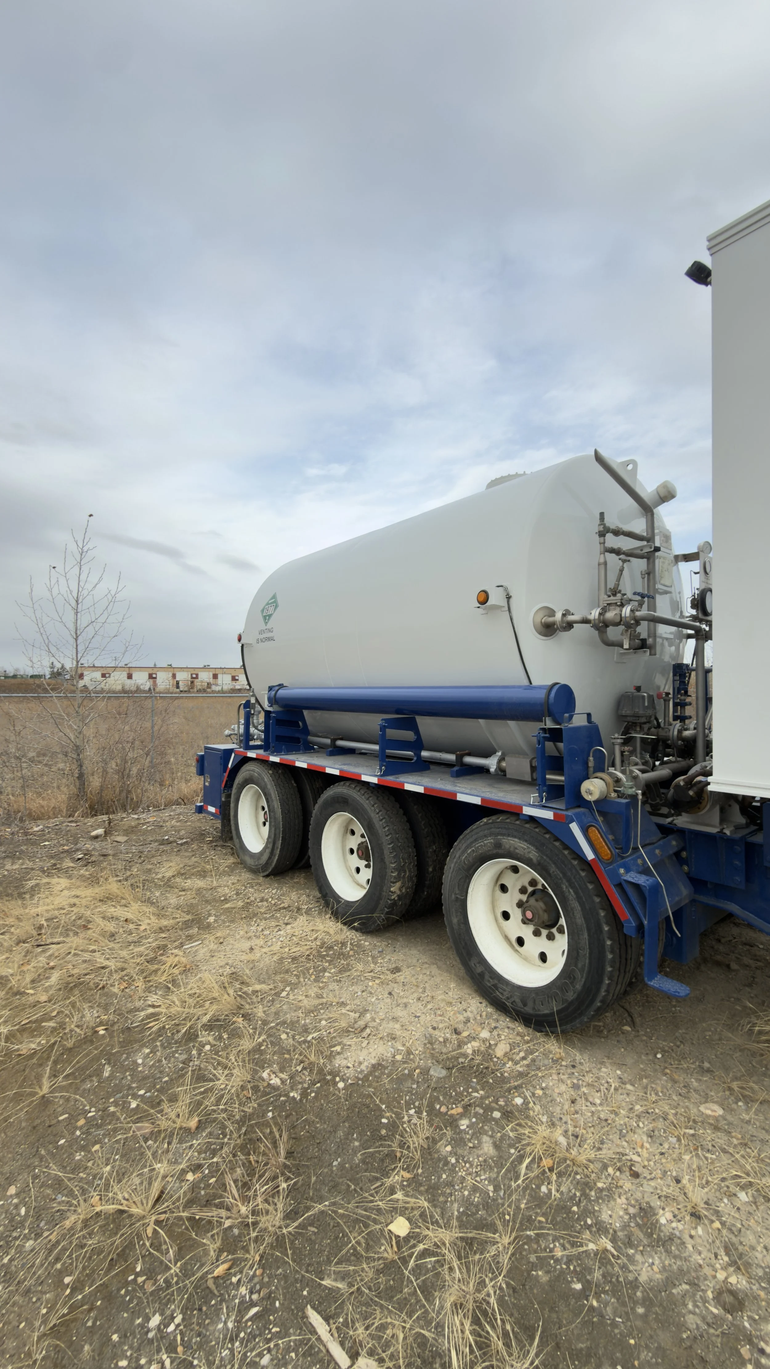 Photo Oct 27 2025, 11 15 53.jpg