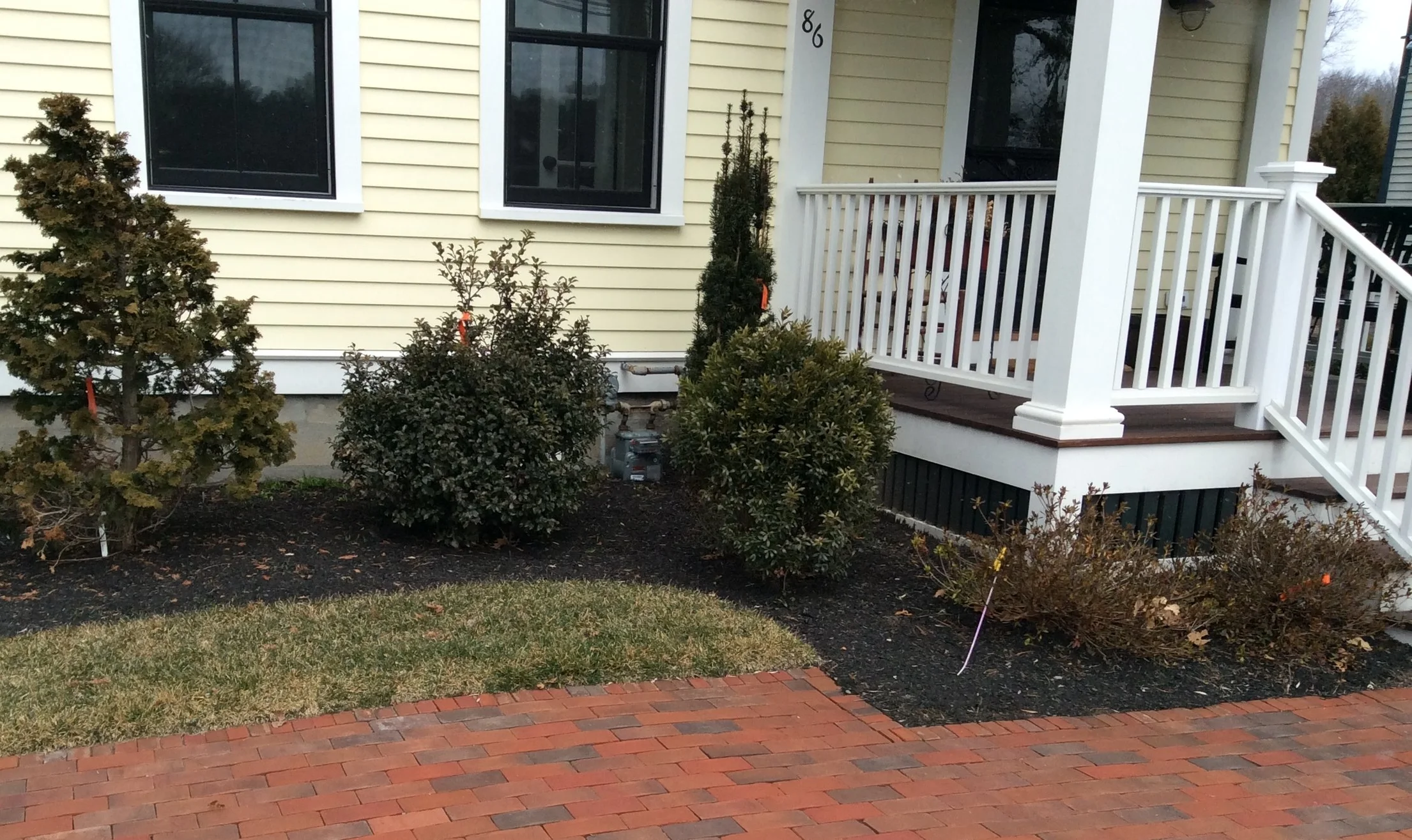 Concord Residence - foundation shrubs