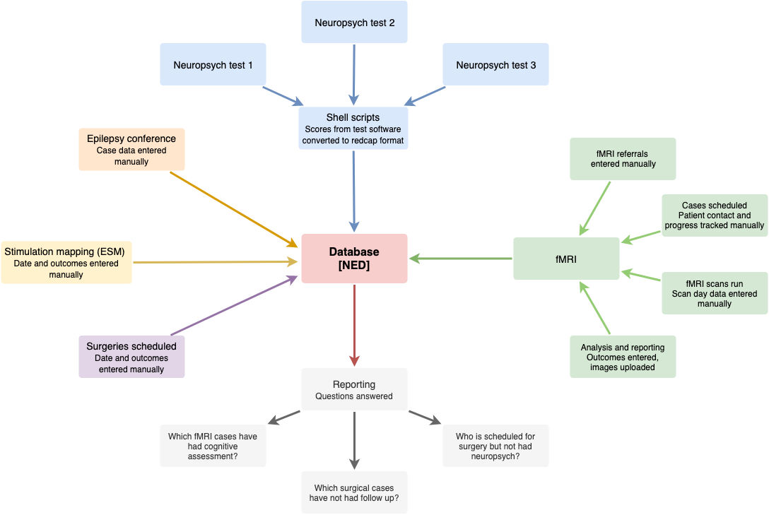 Neuropsychology in Epilepsy Database (NED): Data entry (and output) in greater detail.