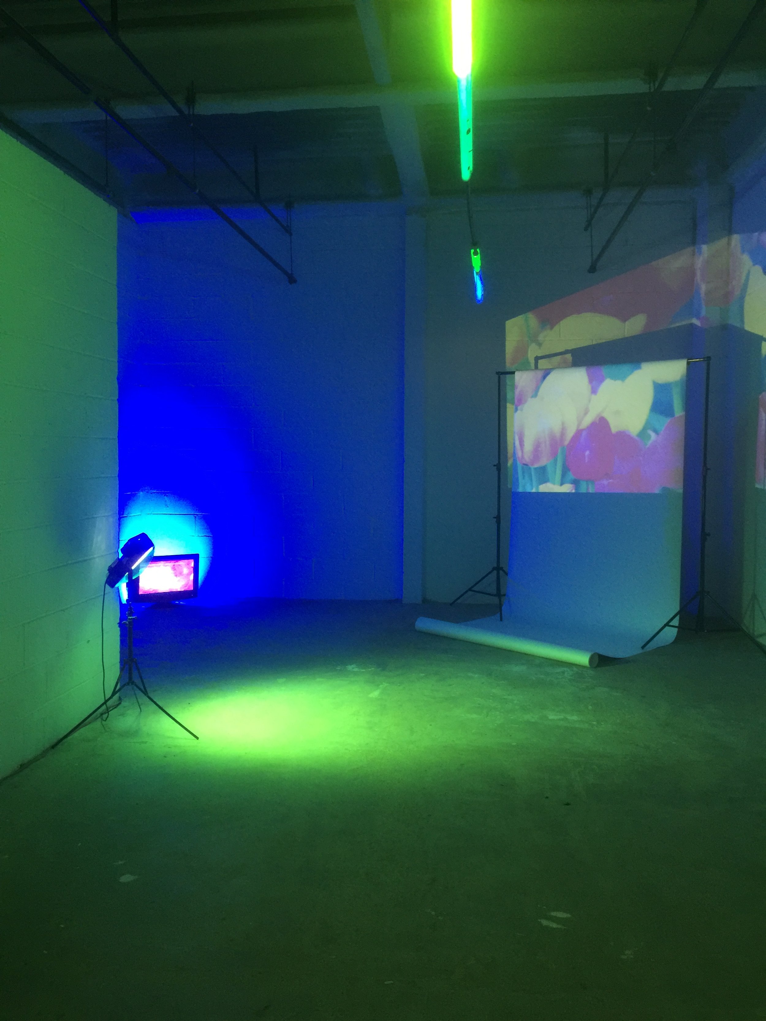  ‘Electric Environments’ installation by TOMA artist   Gabrielle Milanese   at the TOMA Project Space, 2018. 