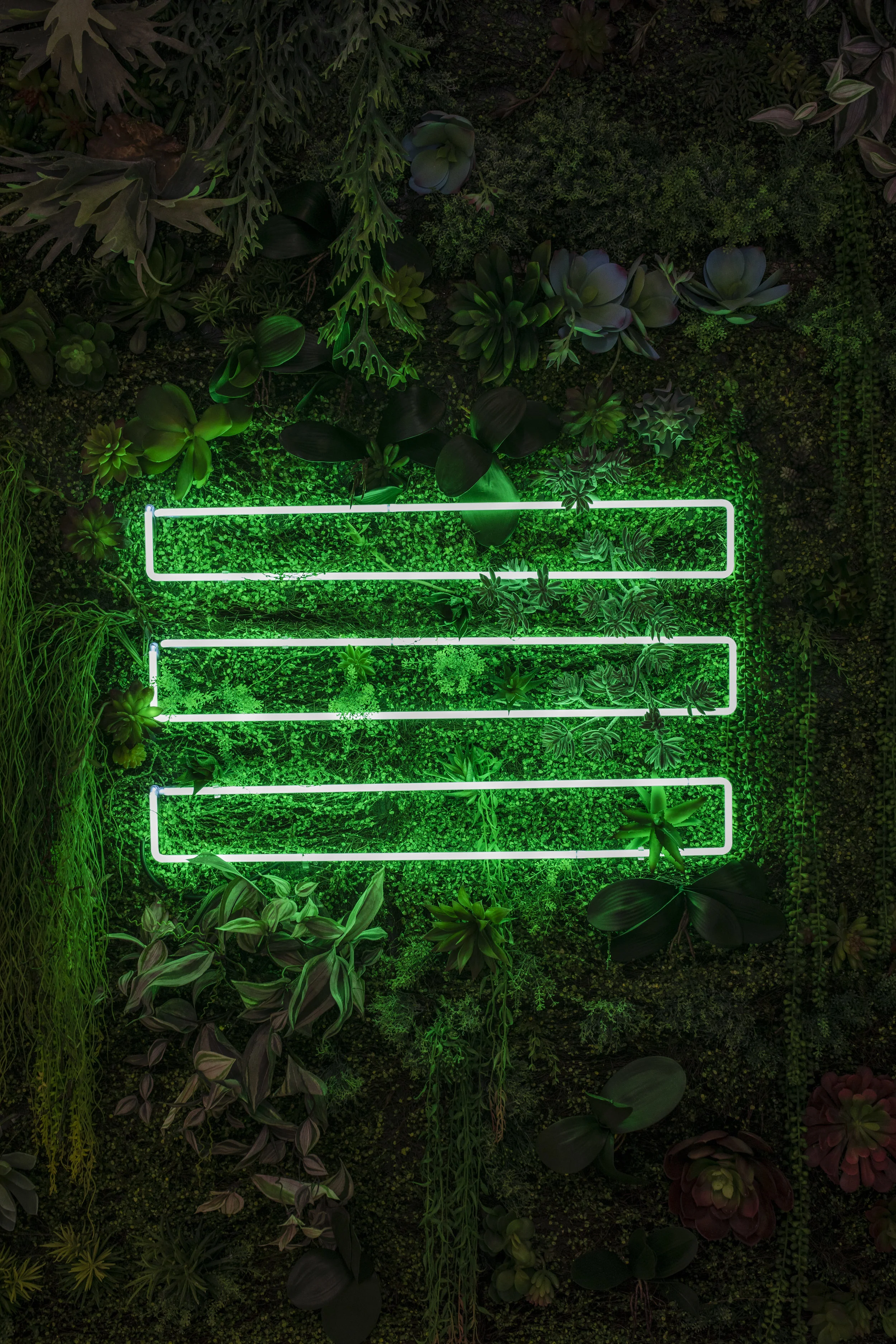 greenup.jpg