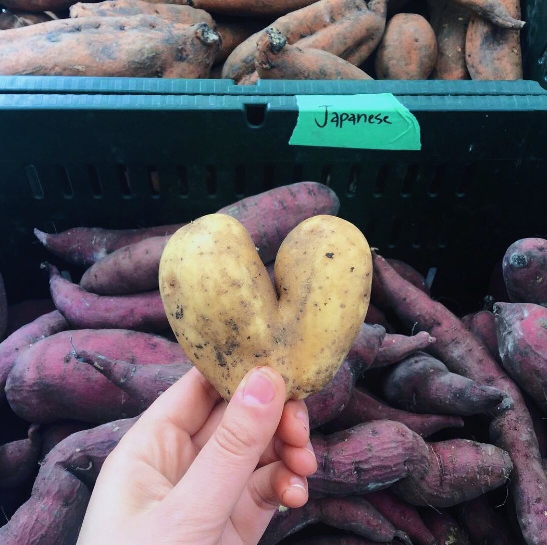 Summer is almost here and that means farmer&rsquo;s market season is right around the corner. We ❤️ locally produced food!

What&rsquo;s your favorite produce item to buy at your local farmer&rsquo;s market? 🍎🥕🌽🍐🫐🍇

-

#zerowaste #zerowastechic