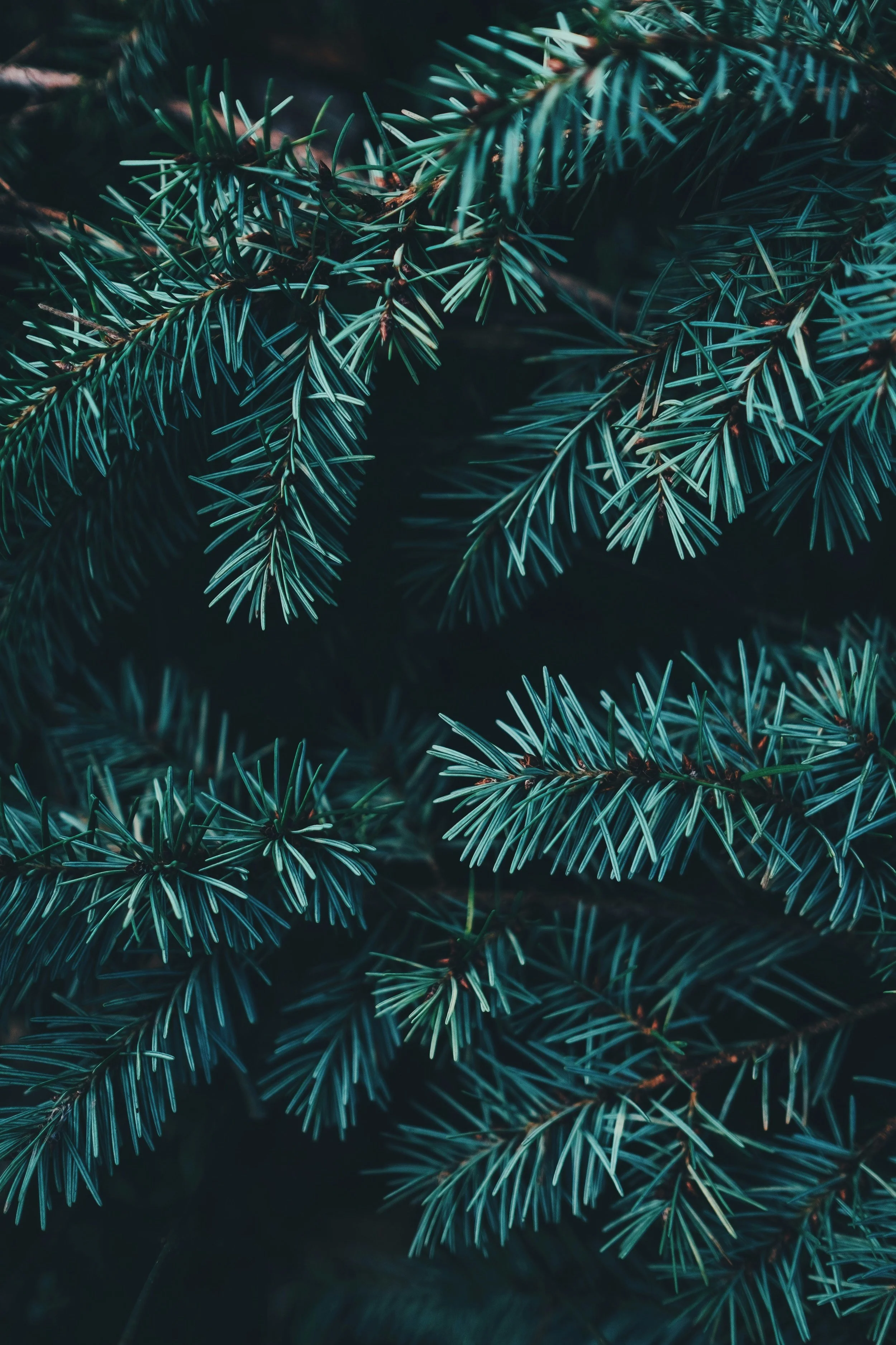 What to Buy a Music Producer: Thoughtful Gift Ideas for Beatmakers