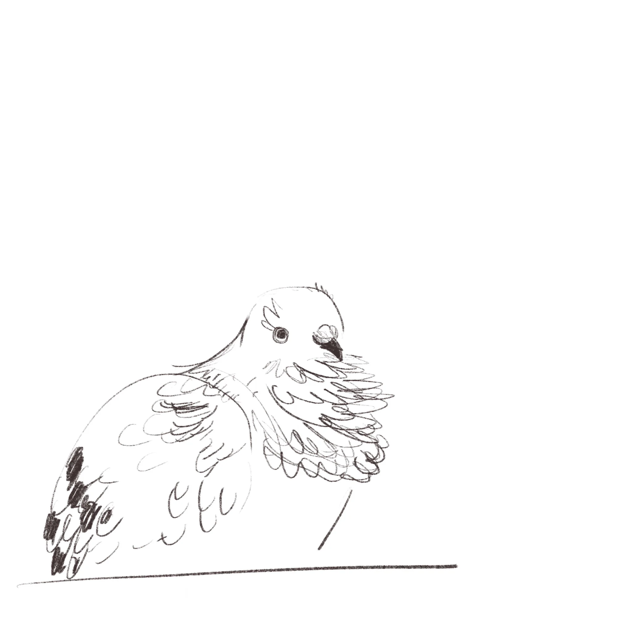 pigeon-pencil.jpg