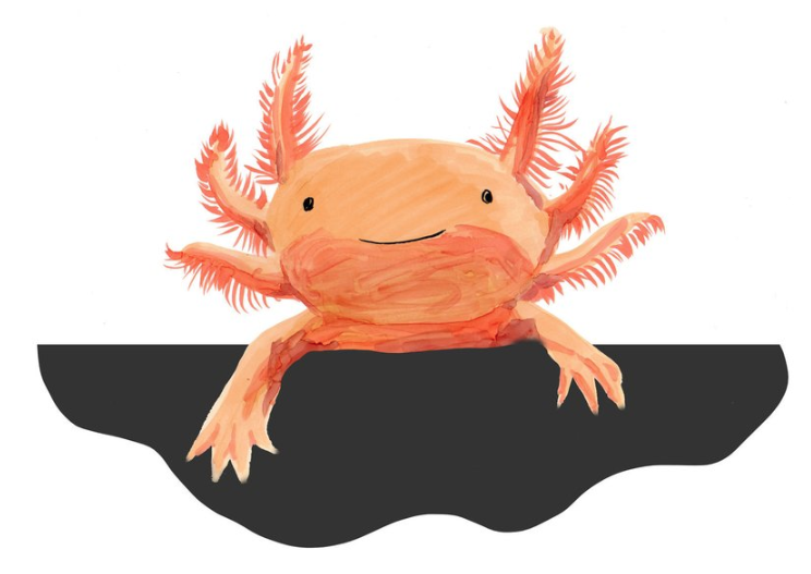 Why I am Closing Down my Etsy Shop