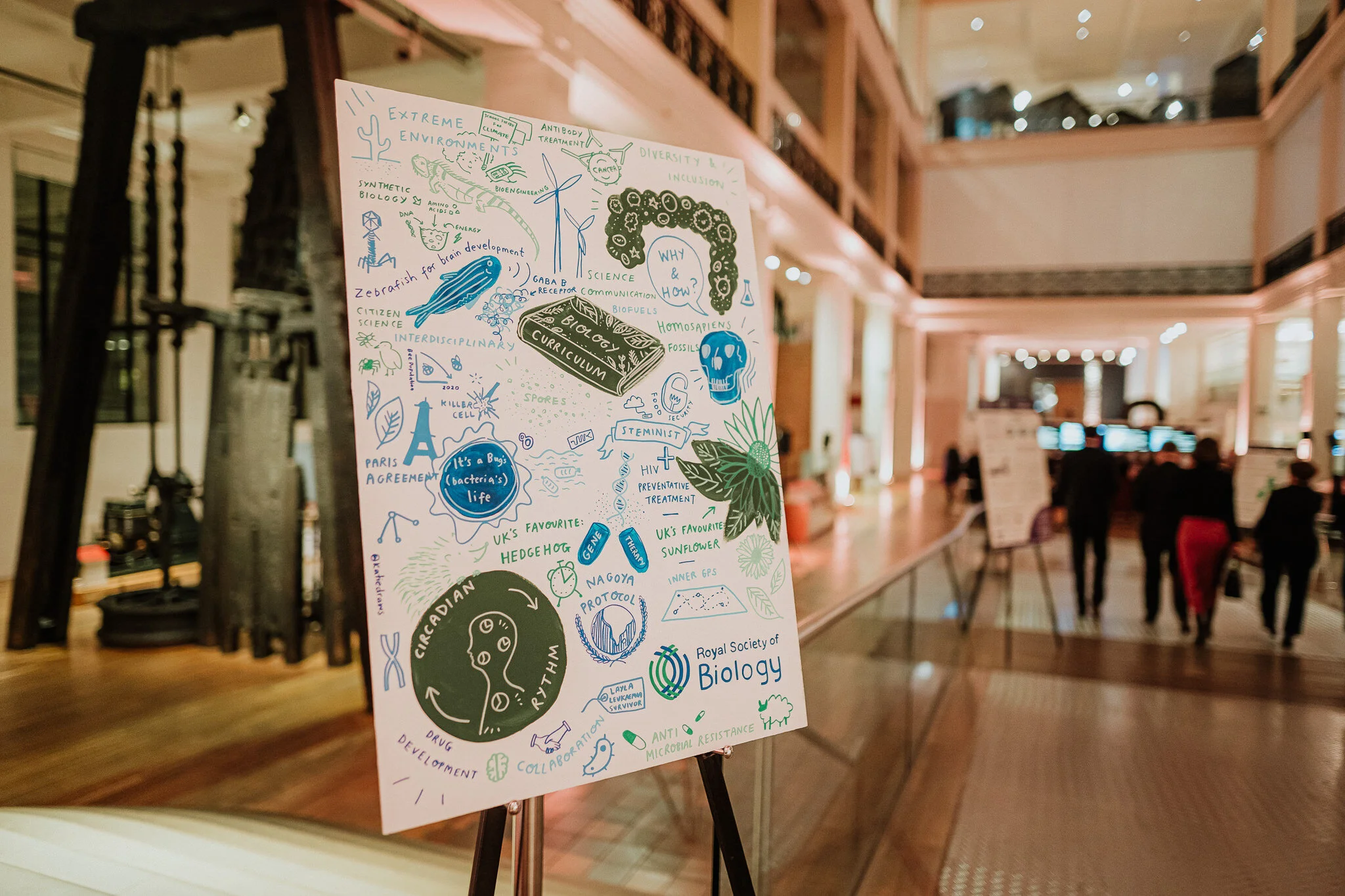 Royal Society of Biology: Remote Virtual Event Artist